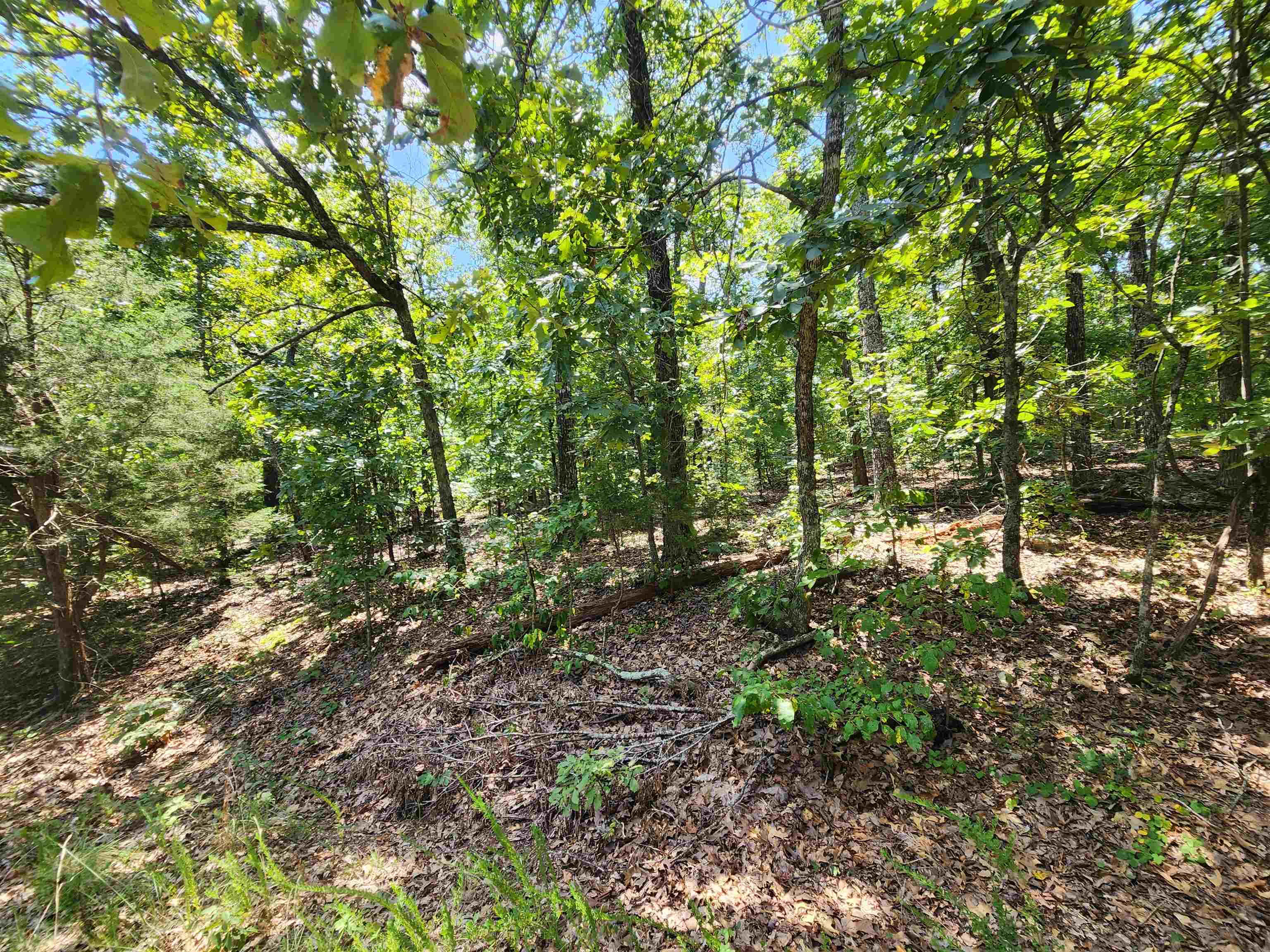 L-1,2,3, B-19 Nicatouse  Cherokee Village, AR