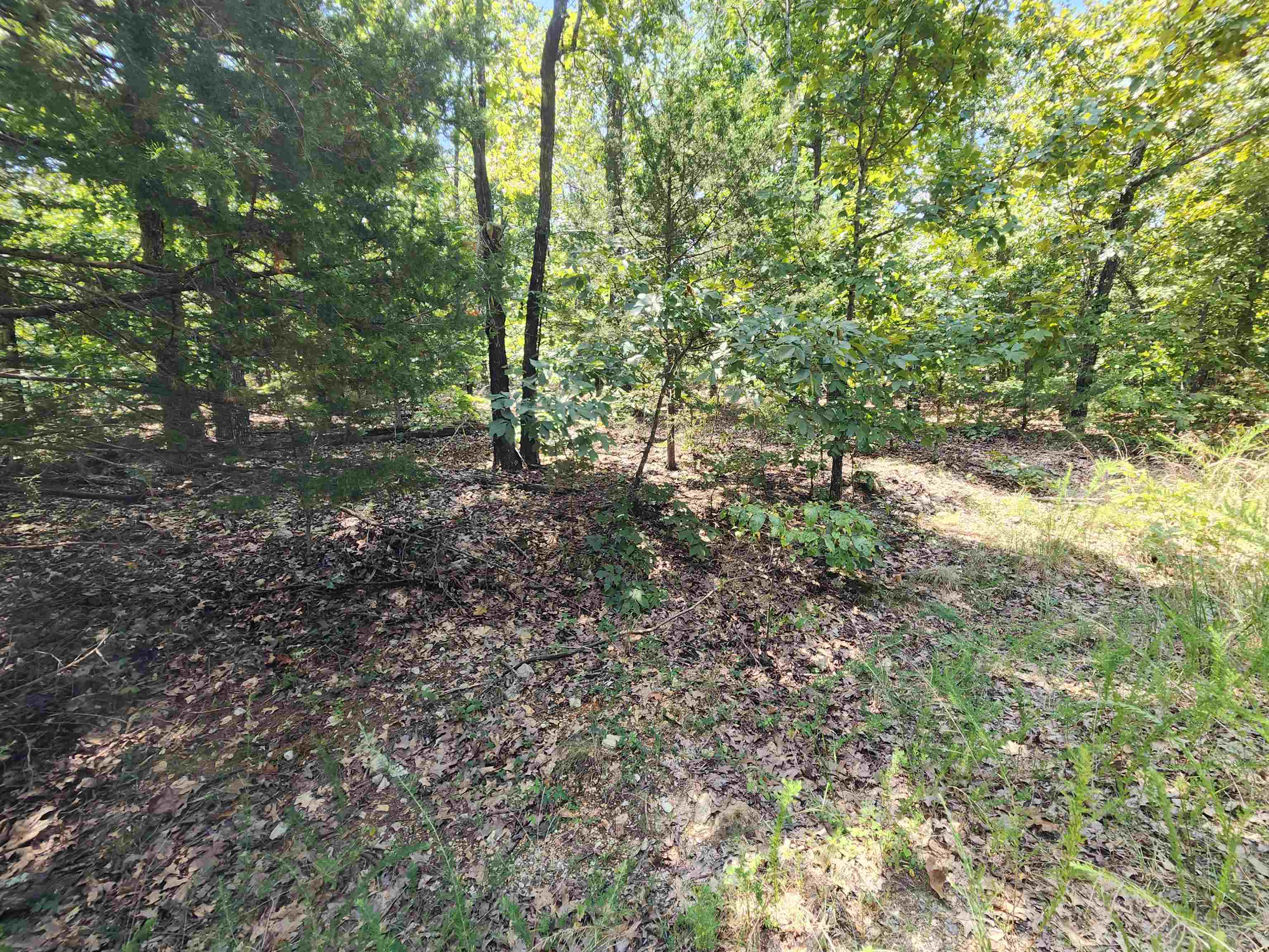 L-1,2,3, B-19 Nicatouse  Cherokee Village, AR