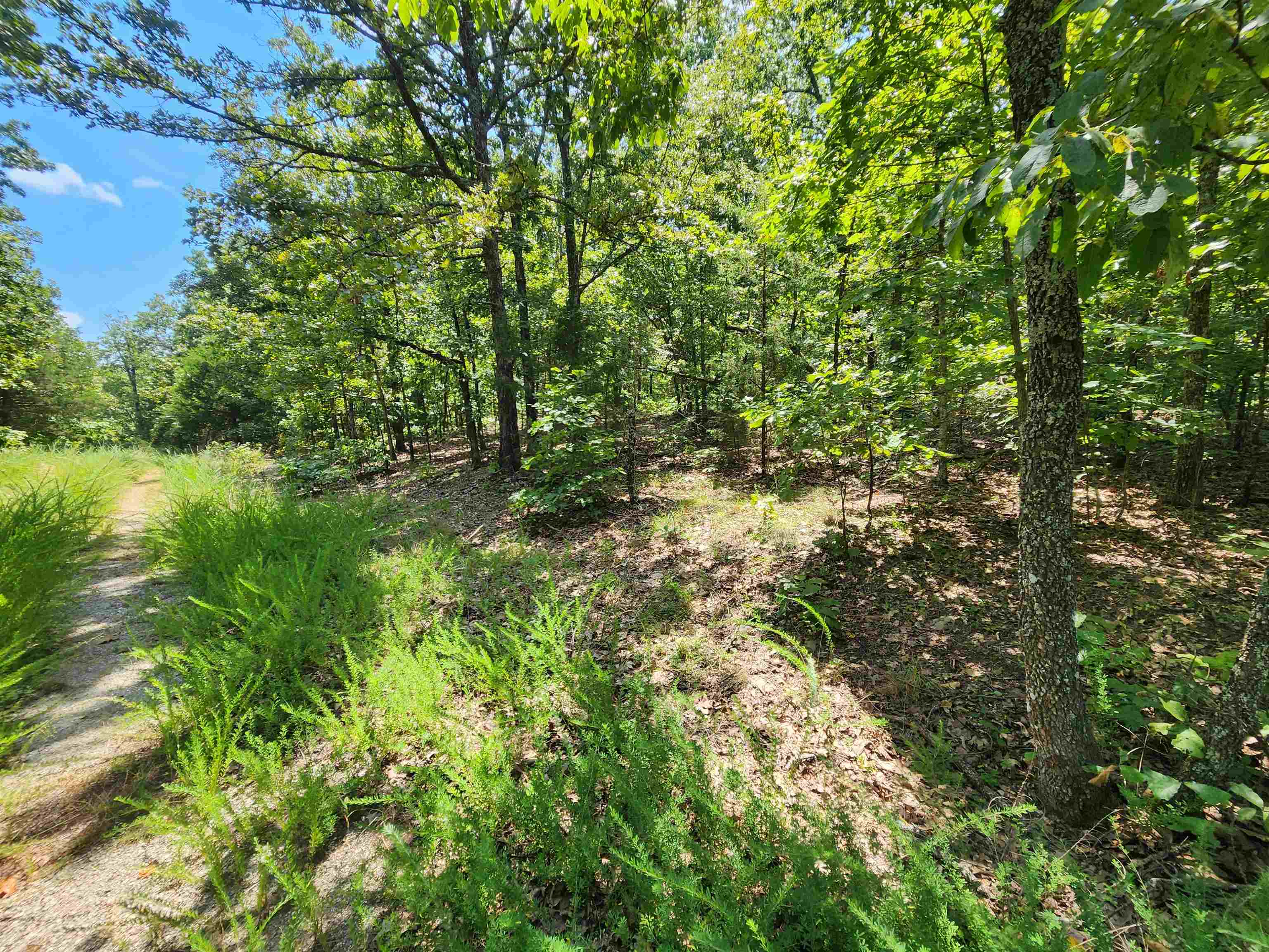 L-1,2,3, B-19 Nicatouse  Cherokee Village, AR