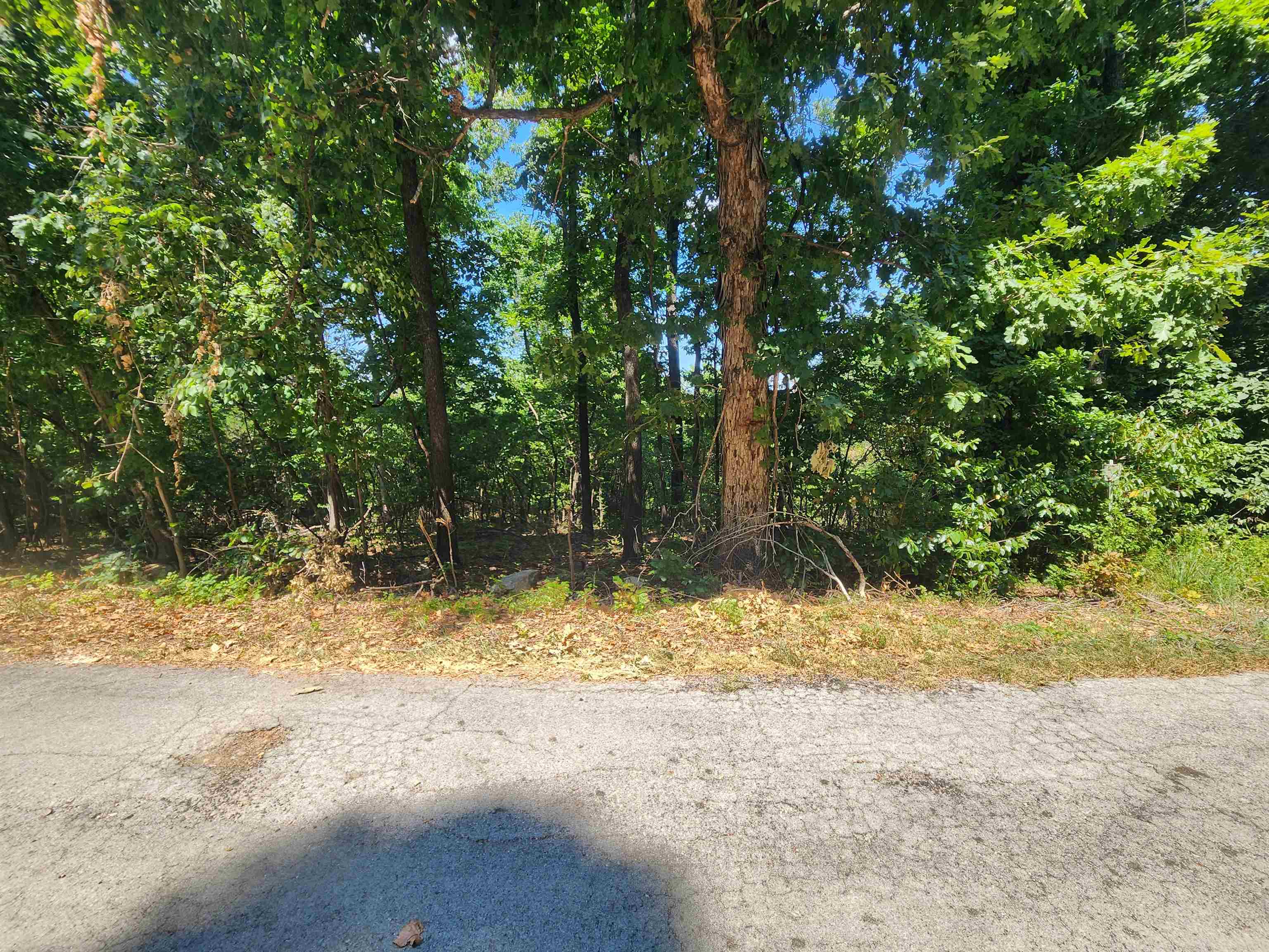 L28, B6 Zia  Cherokee Village, AR