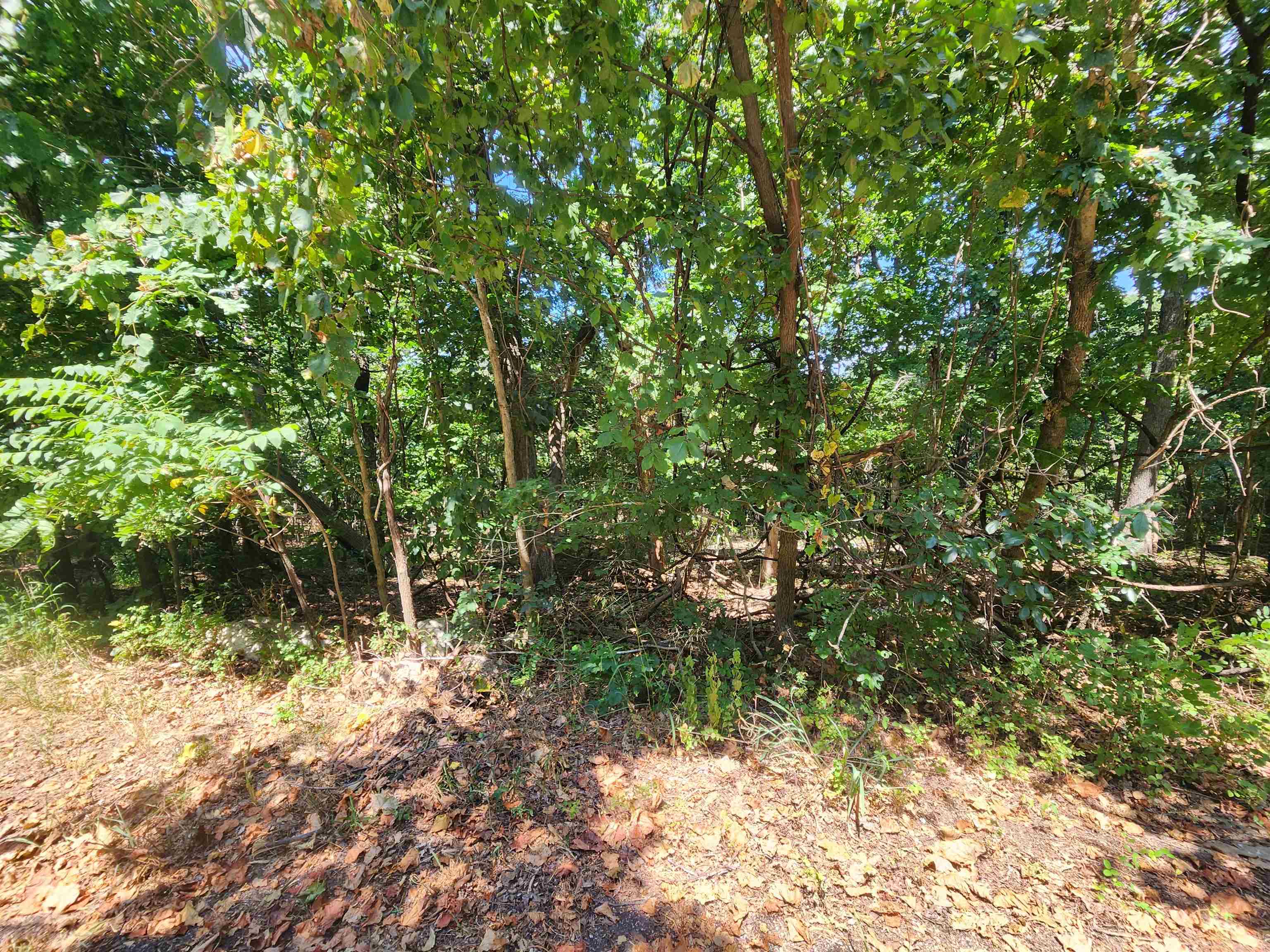 L28, B6 Zia  Cherokee Village, AR