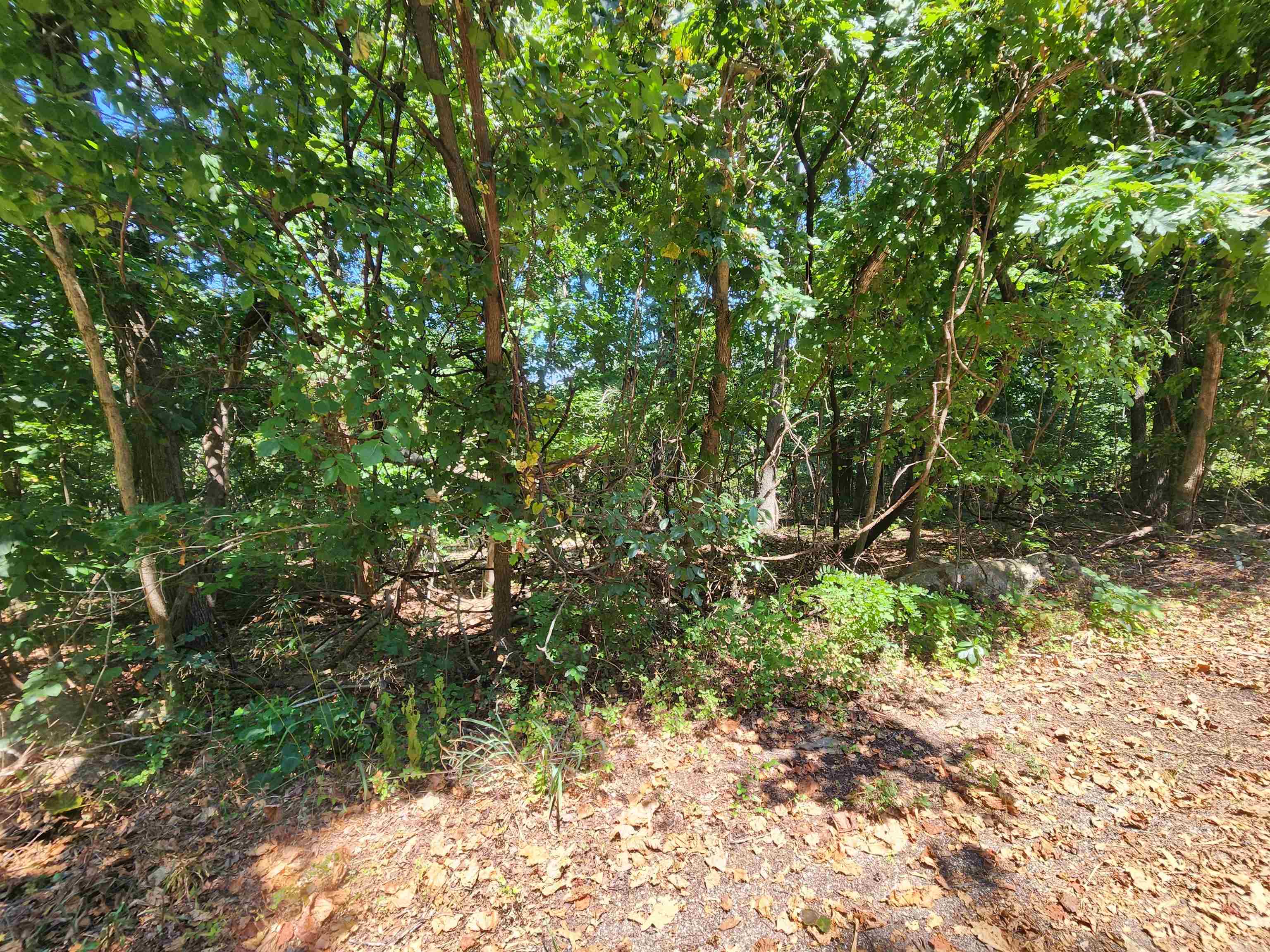 L28, B6 Zia  Cherokee Village, AR