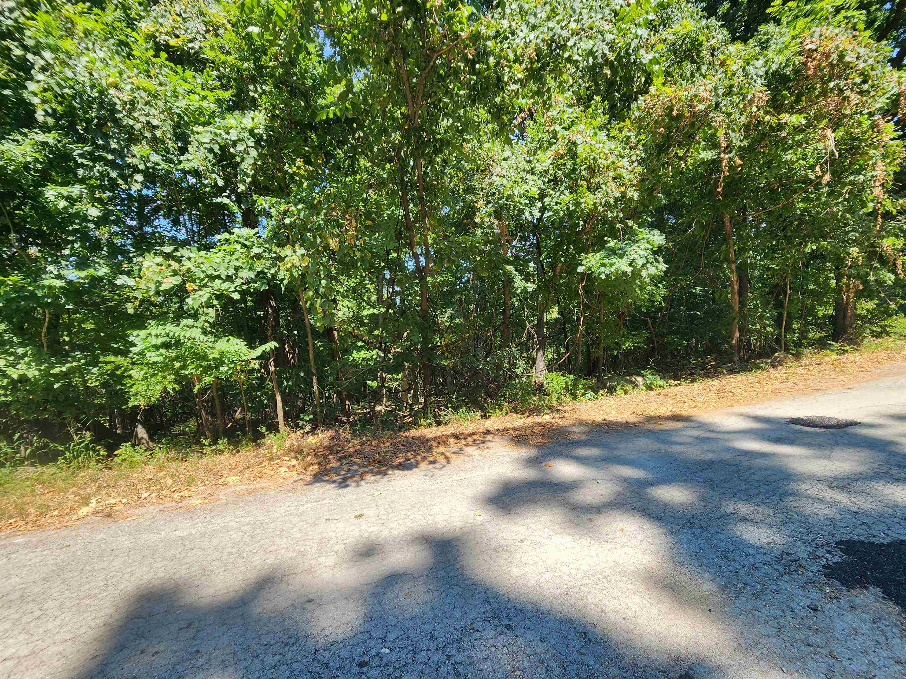 L28, B6 Zia  Cherokee Village, AR