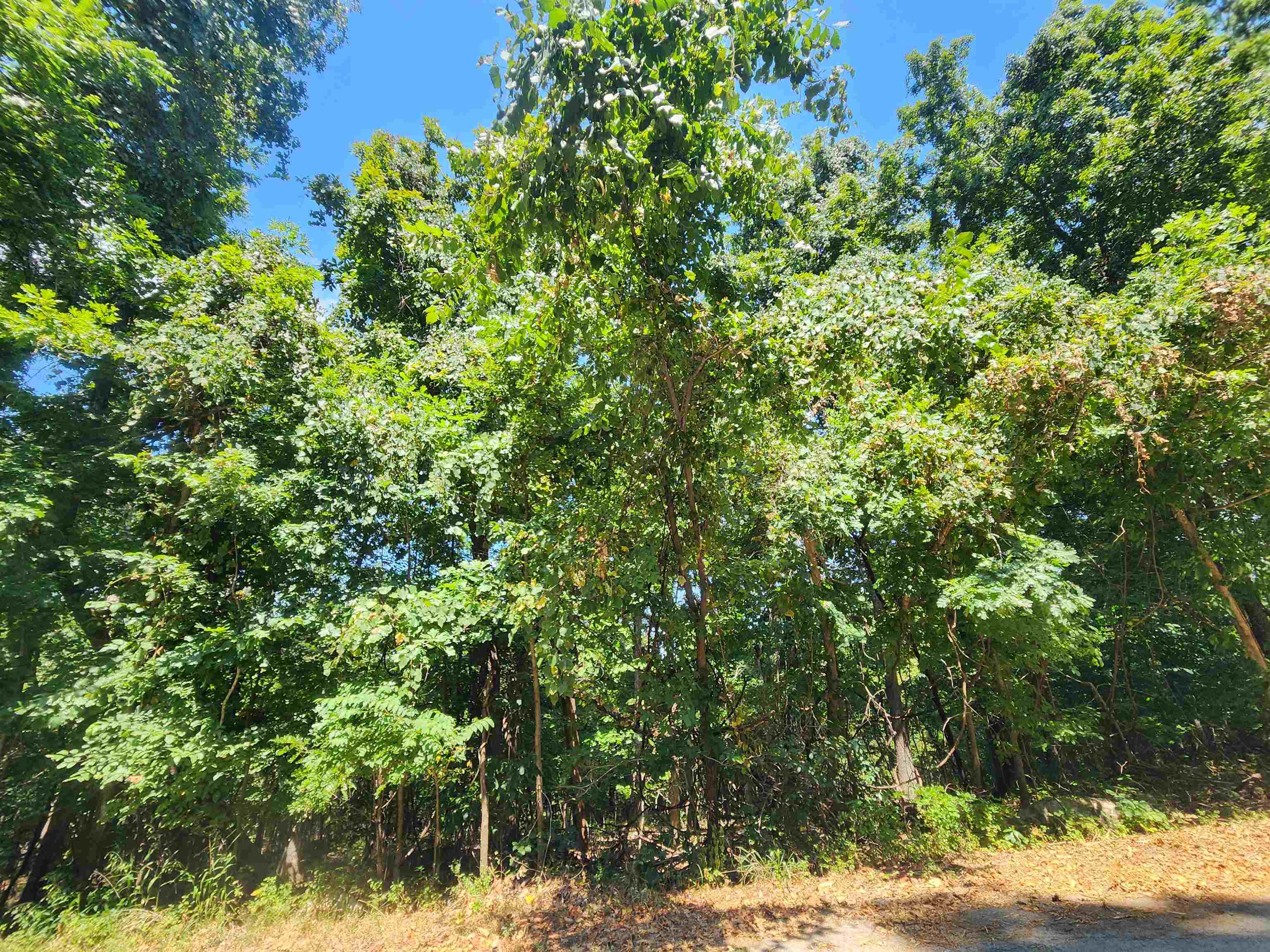 L28, B6 Zia  Cherokee Village, AR