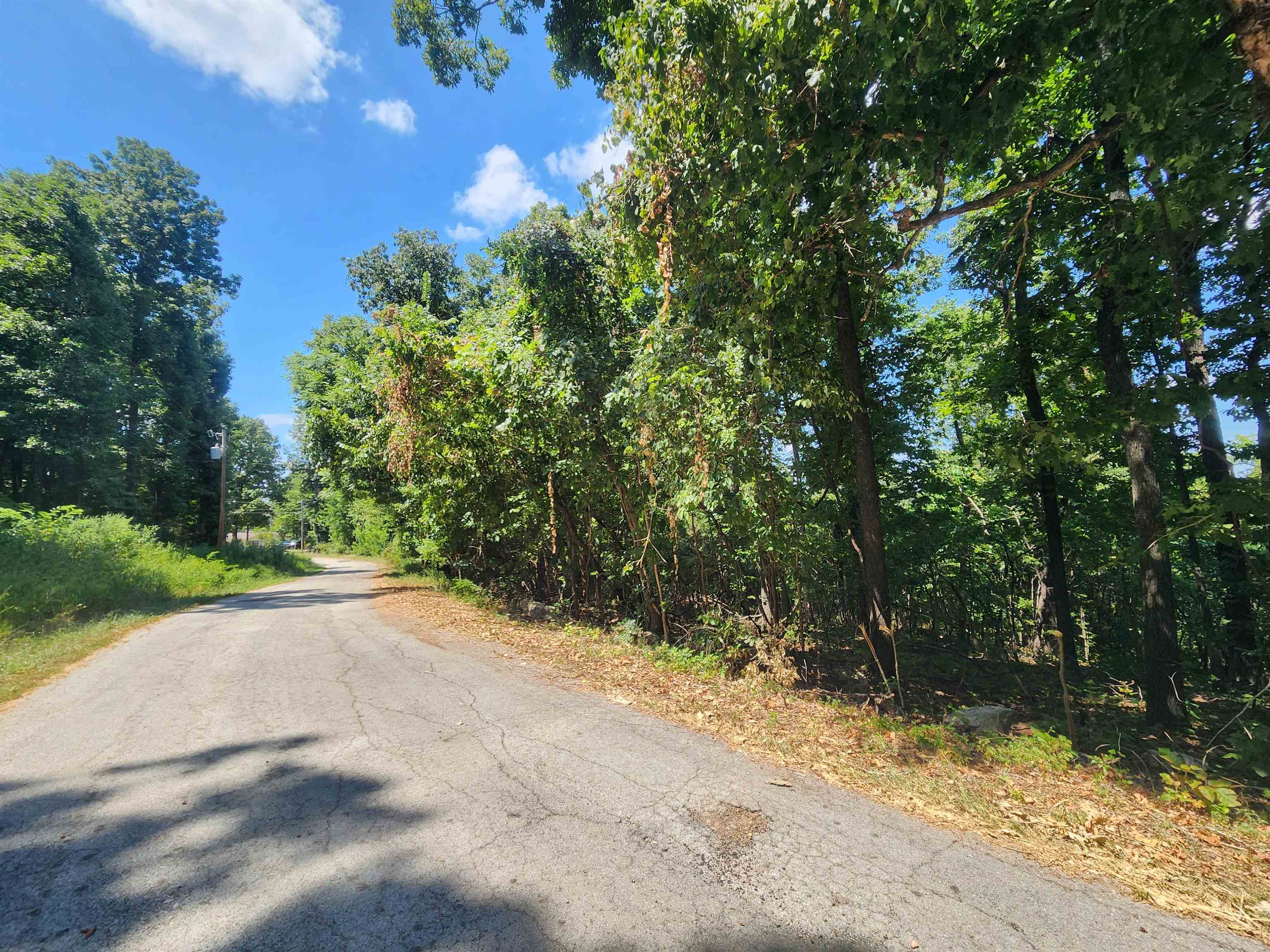 L28, B6 Zia  Cherokee Village, AR