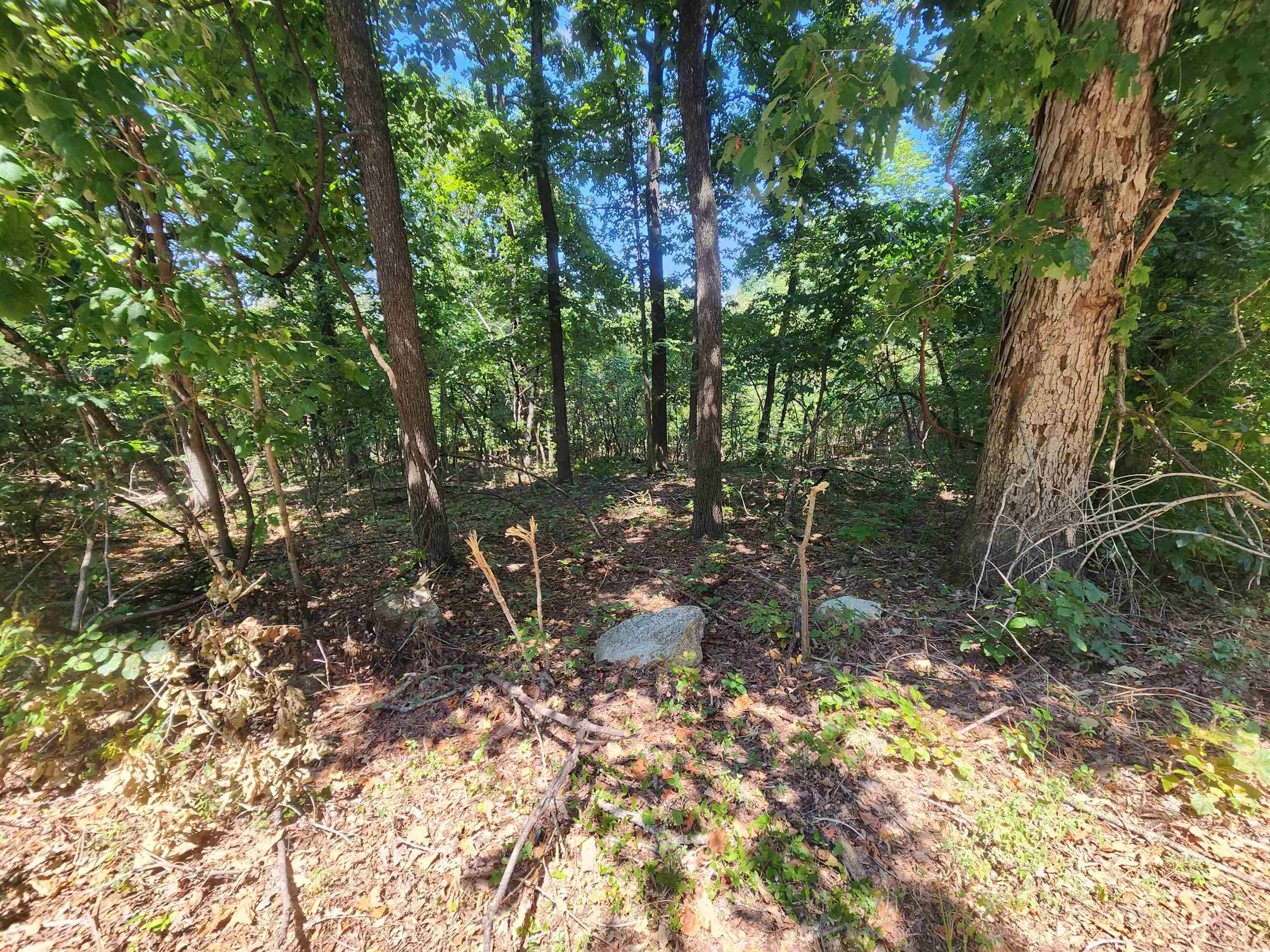 L28, B6 Zia  Cherokee Village, AR