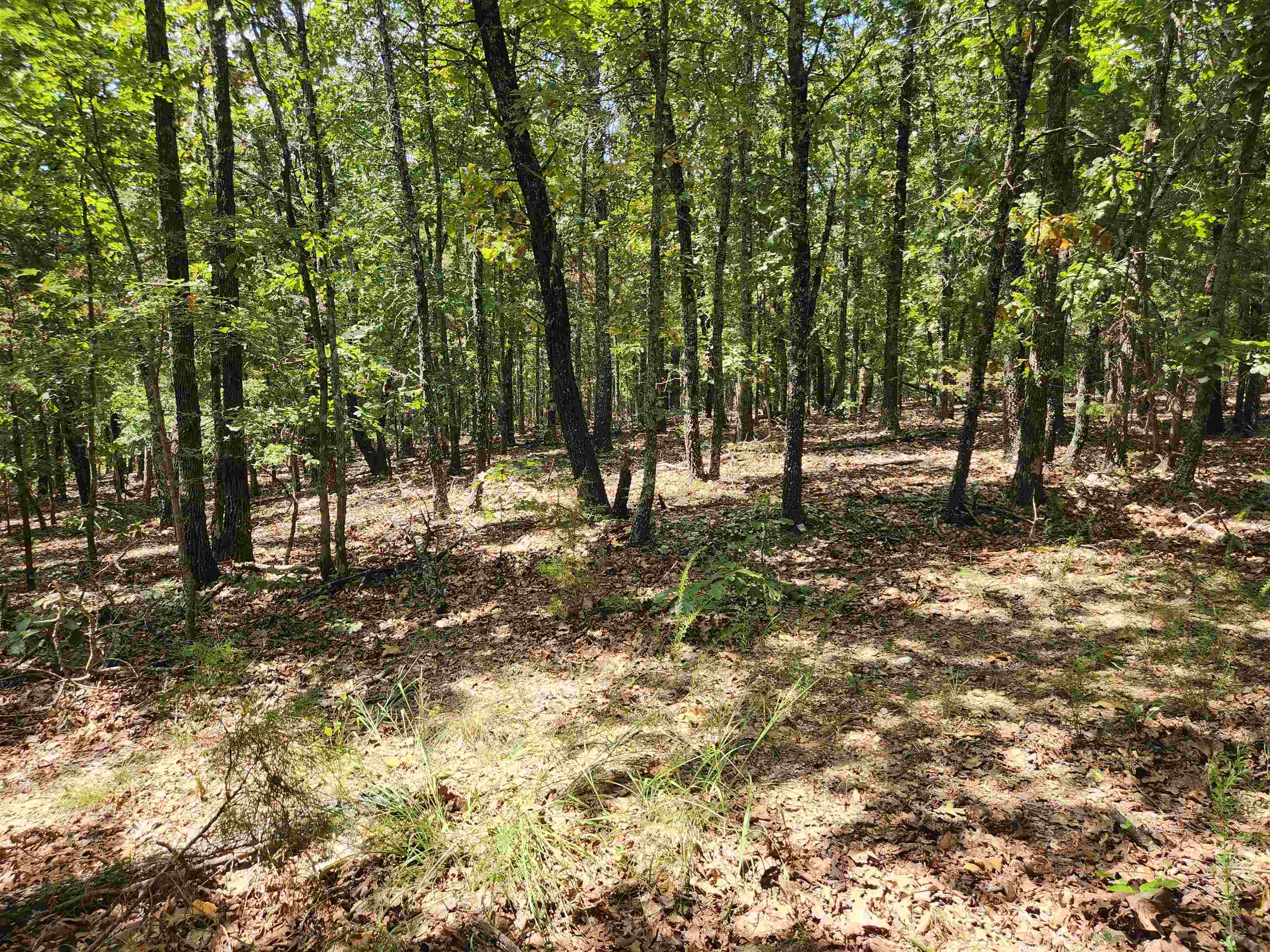 L101-103, B-3 Lightning  Highland, AR