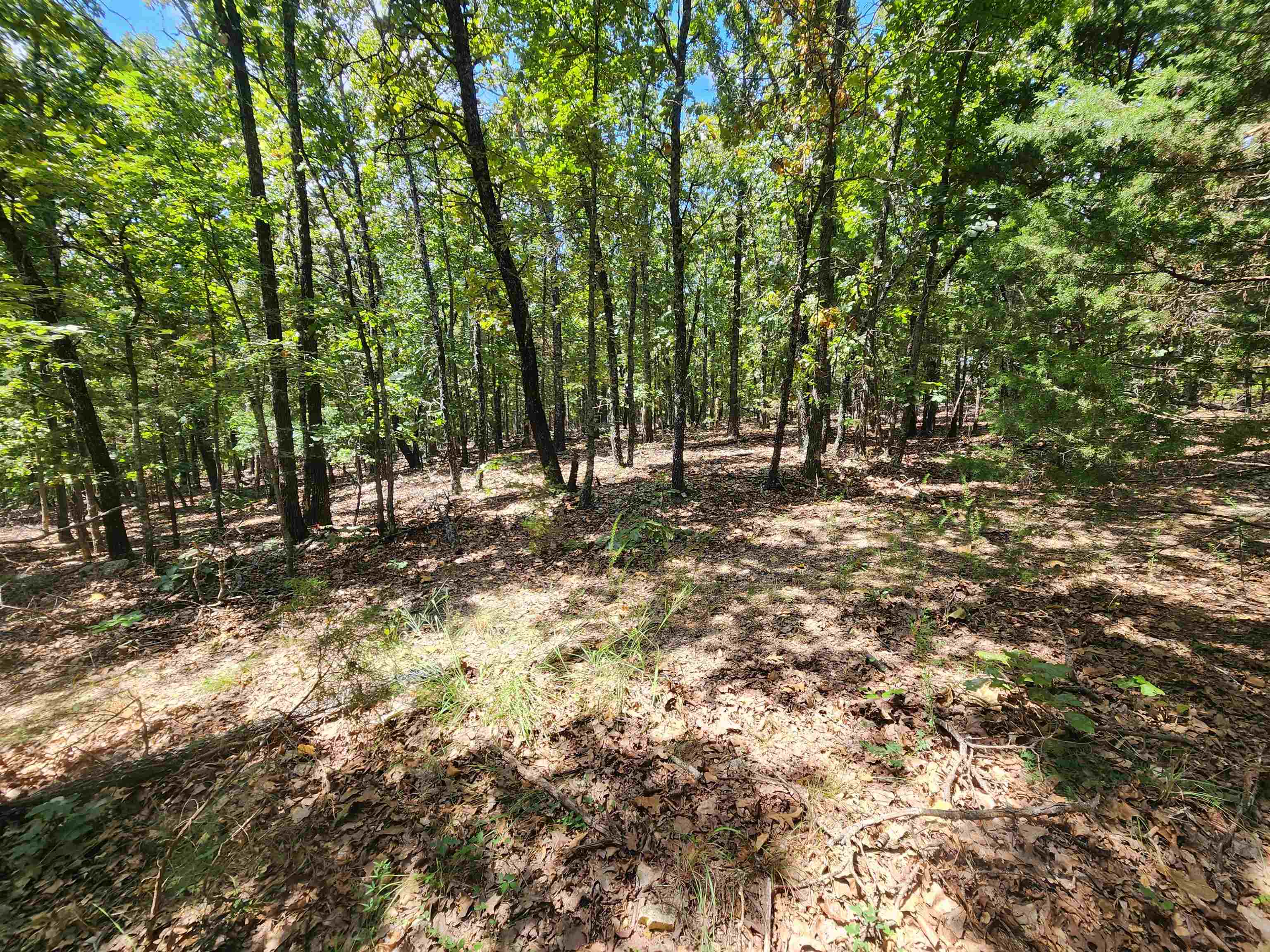 L101-103, B-3 Lightning  Highland, AR