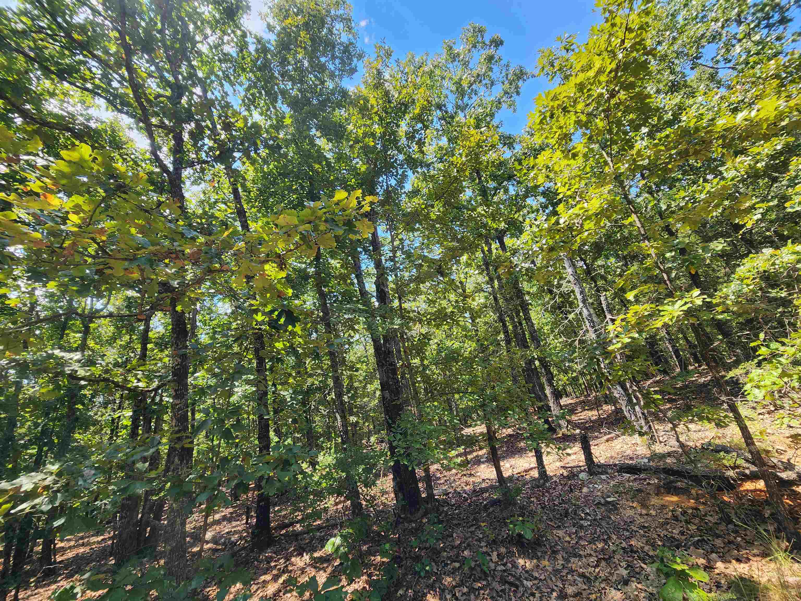 L101-103, B-3 Lightning  Highland, AR