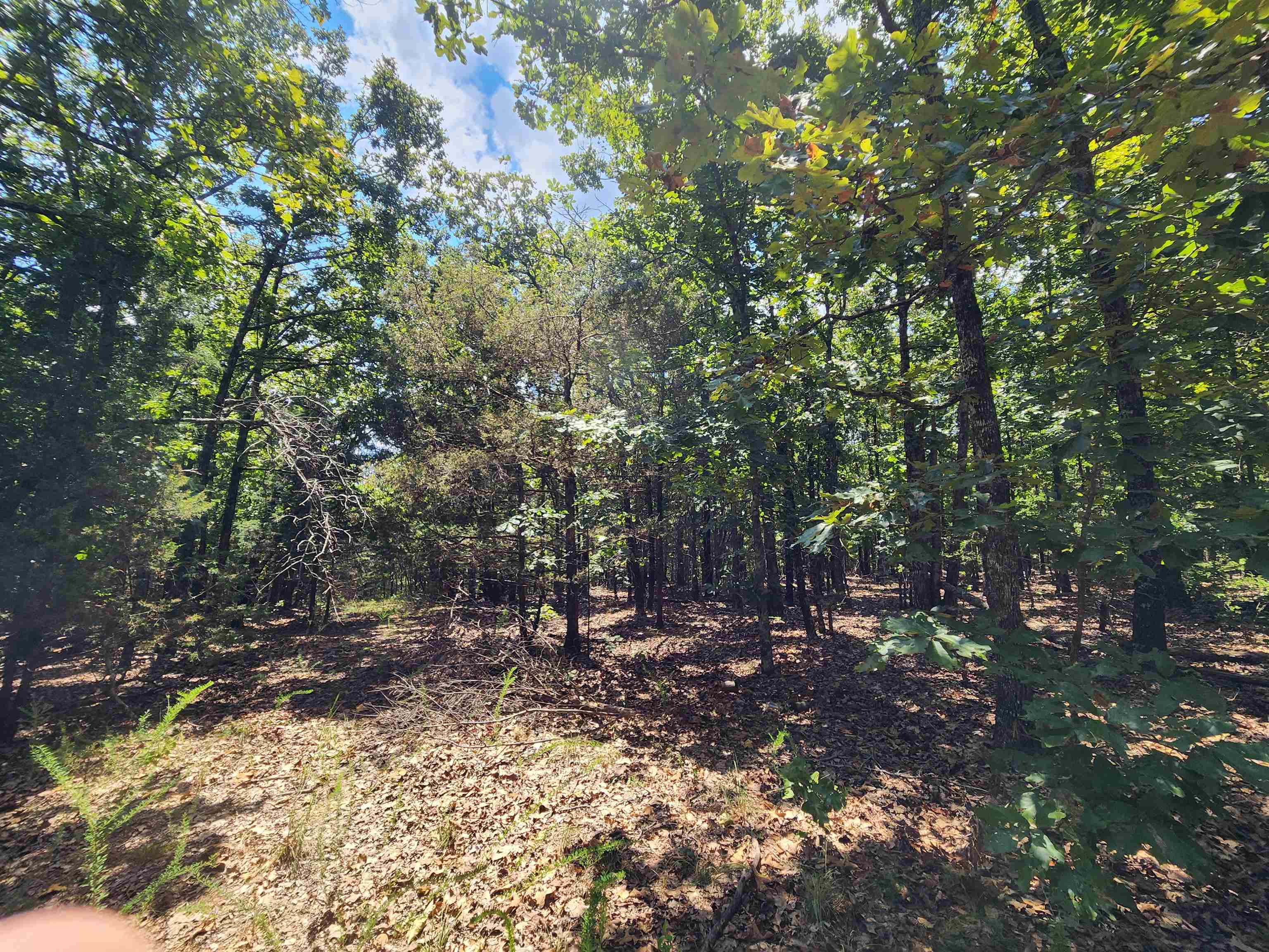 L101-103, B-3 Lightning  Highland, AR