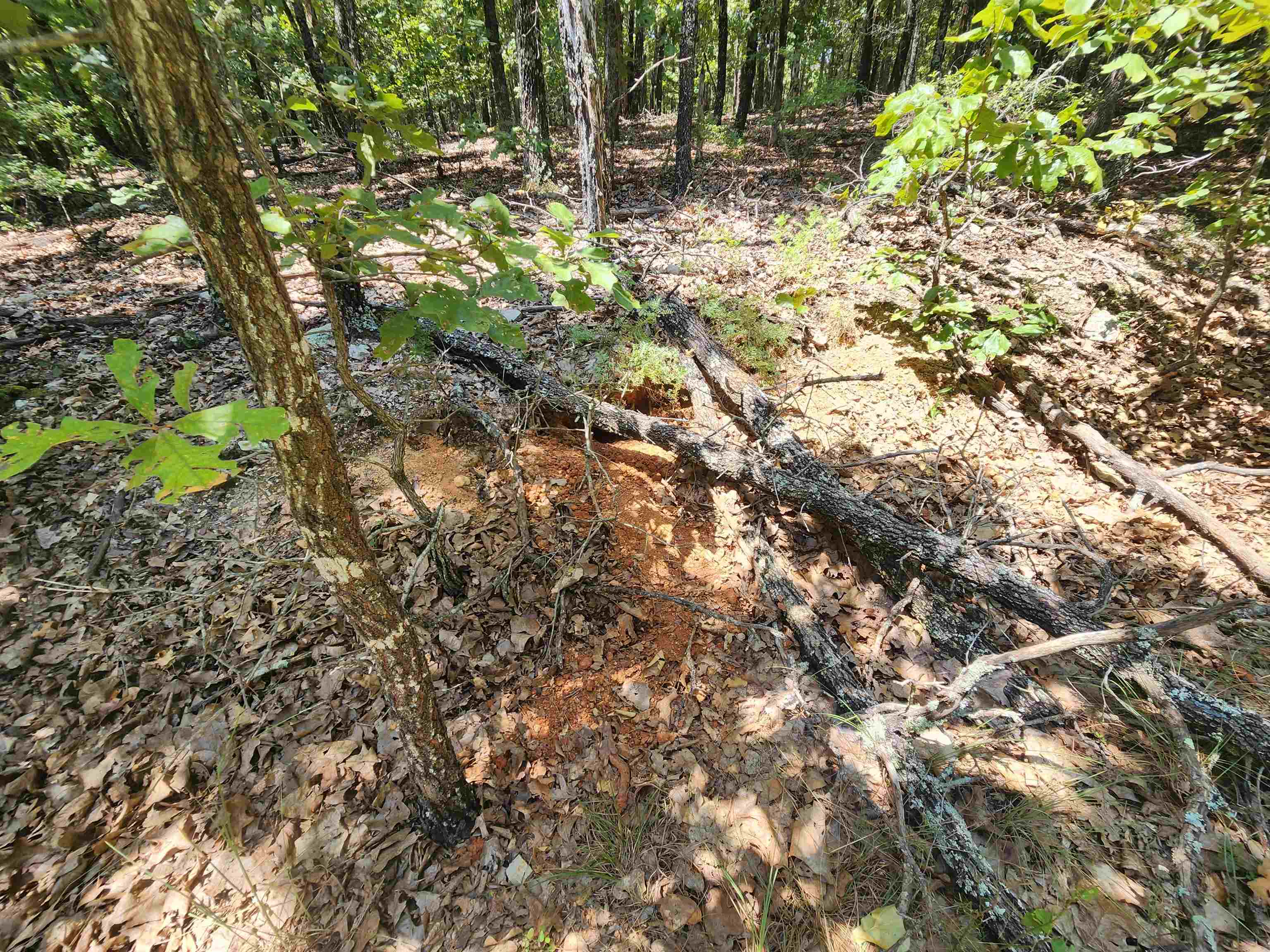 L101-103, B-3 Lightning  Highland, AR