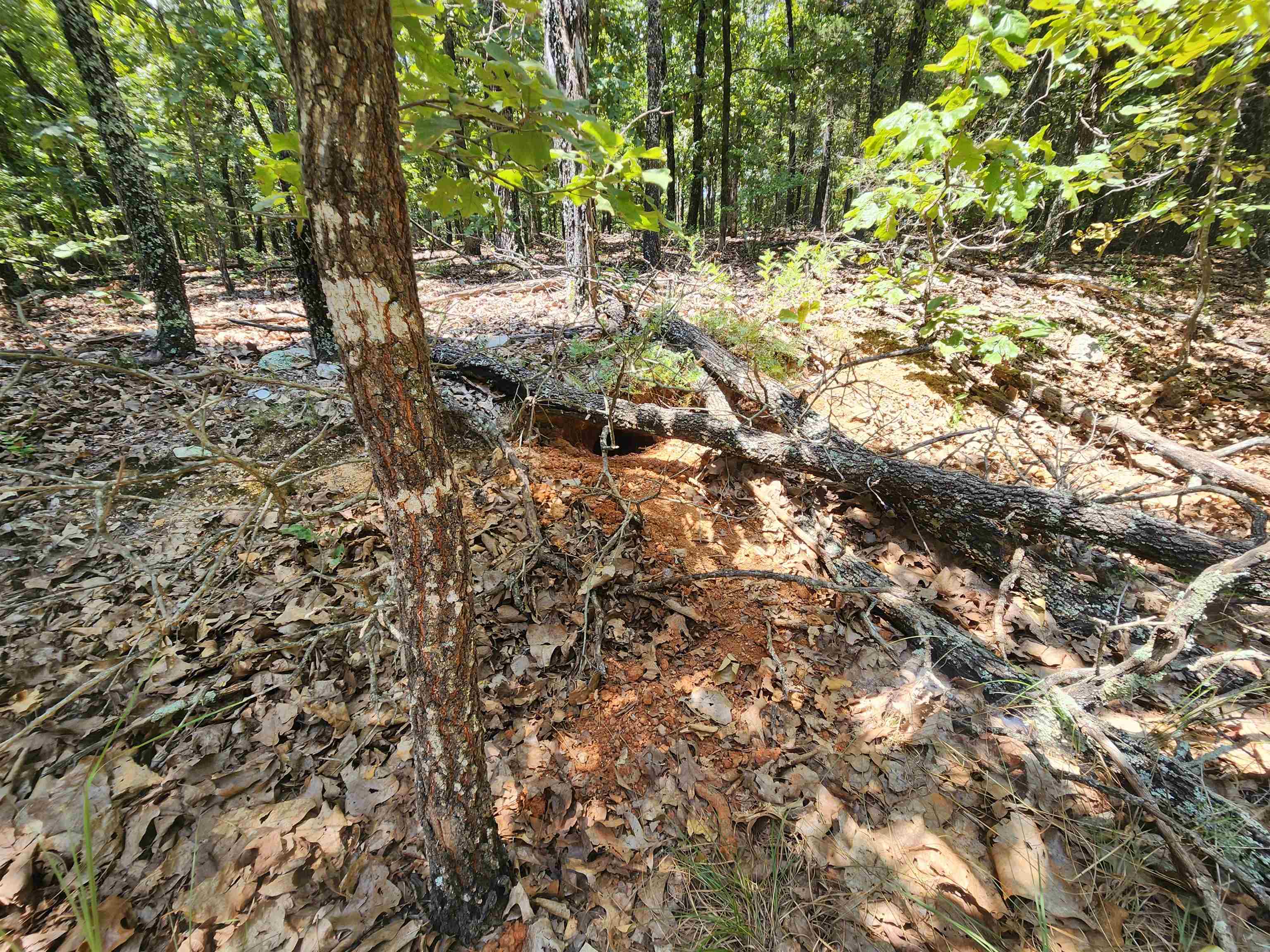 L101-103, B-3 Lightning  Highland, AR