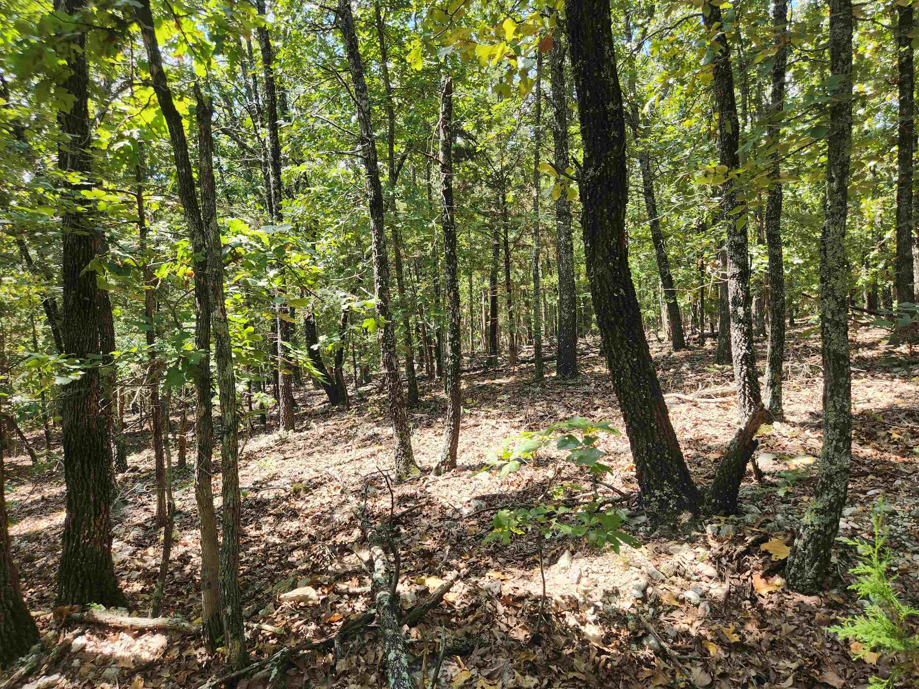 L101-103, B-3 Lightning  Highland, AR