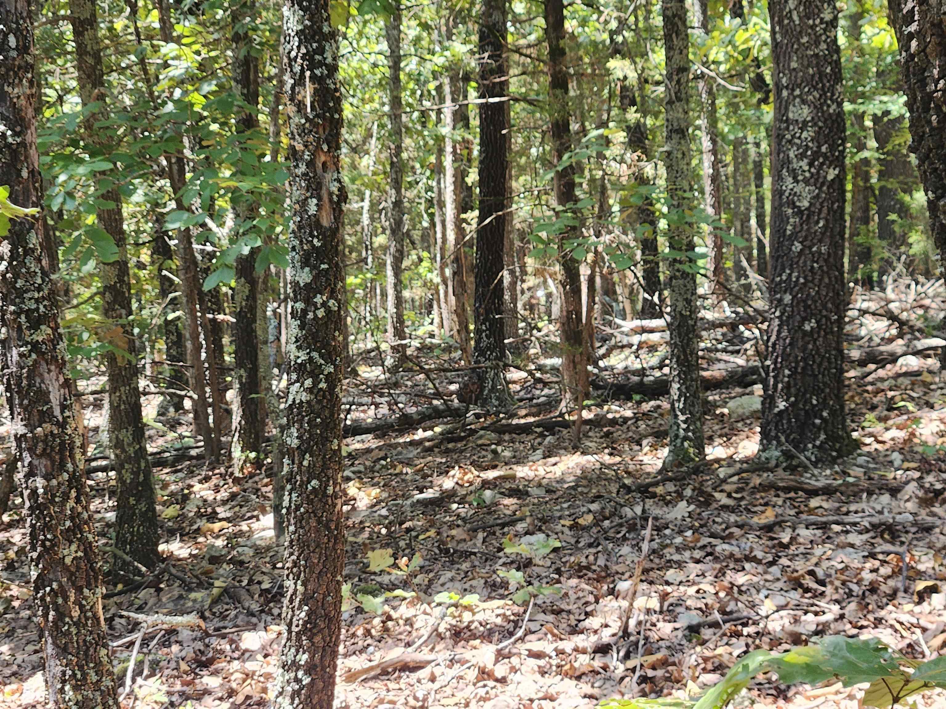 L101-103, B-3 Lightning  Highland, AR
