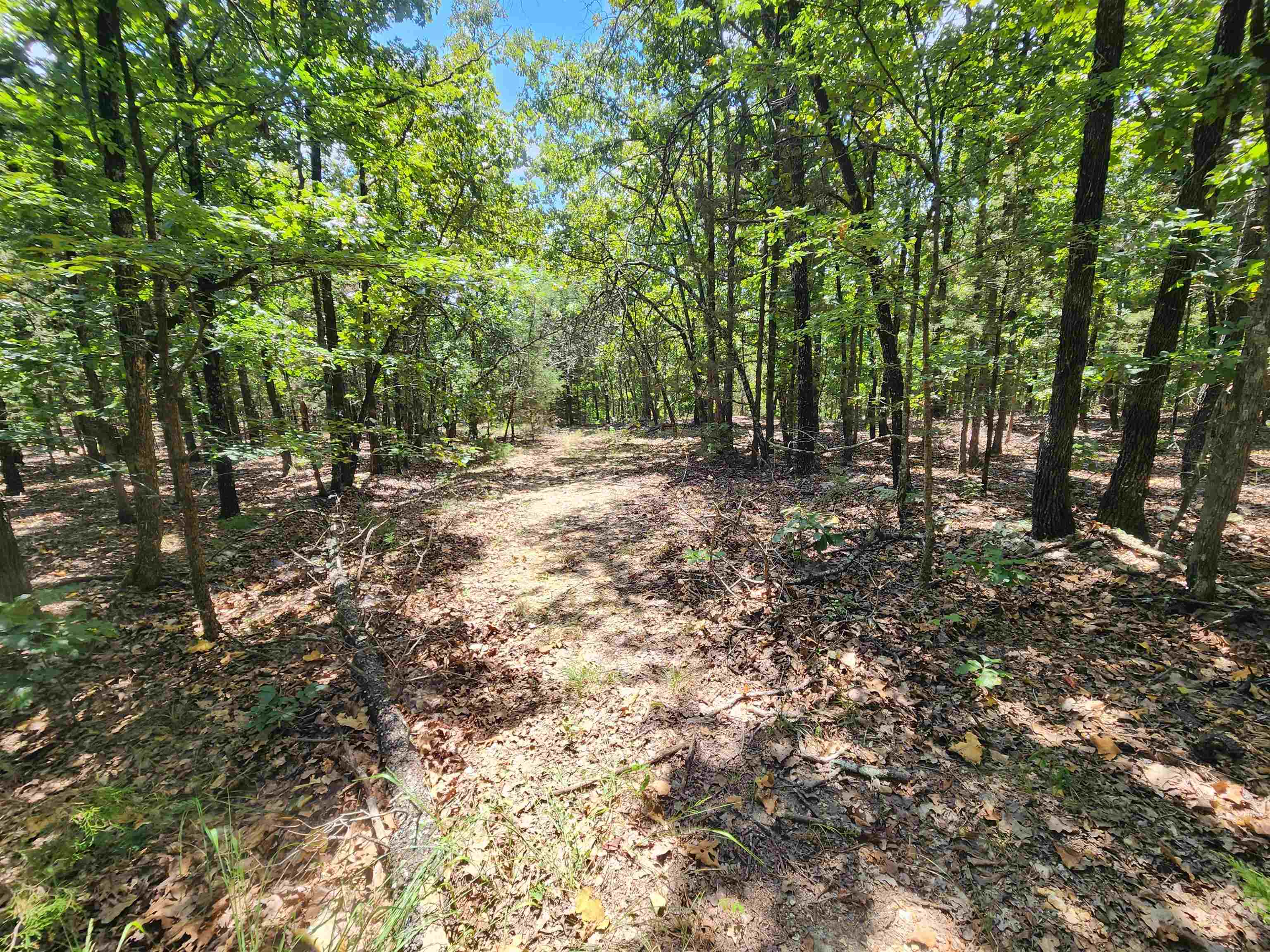 L101-103, B-3 Lightning  Highland, AR