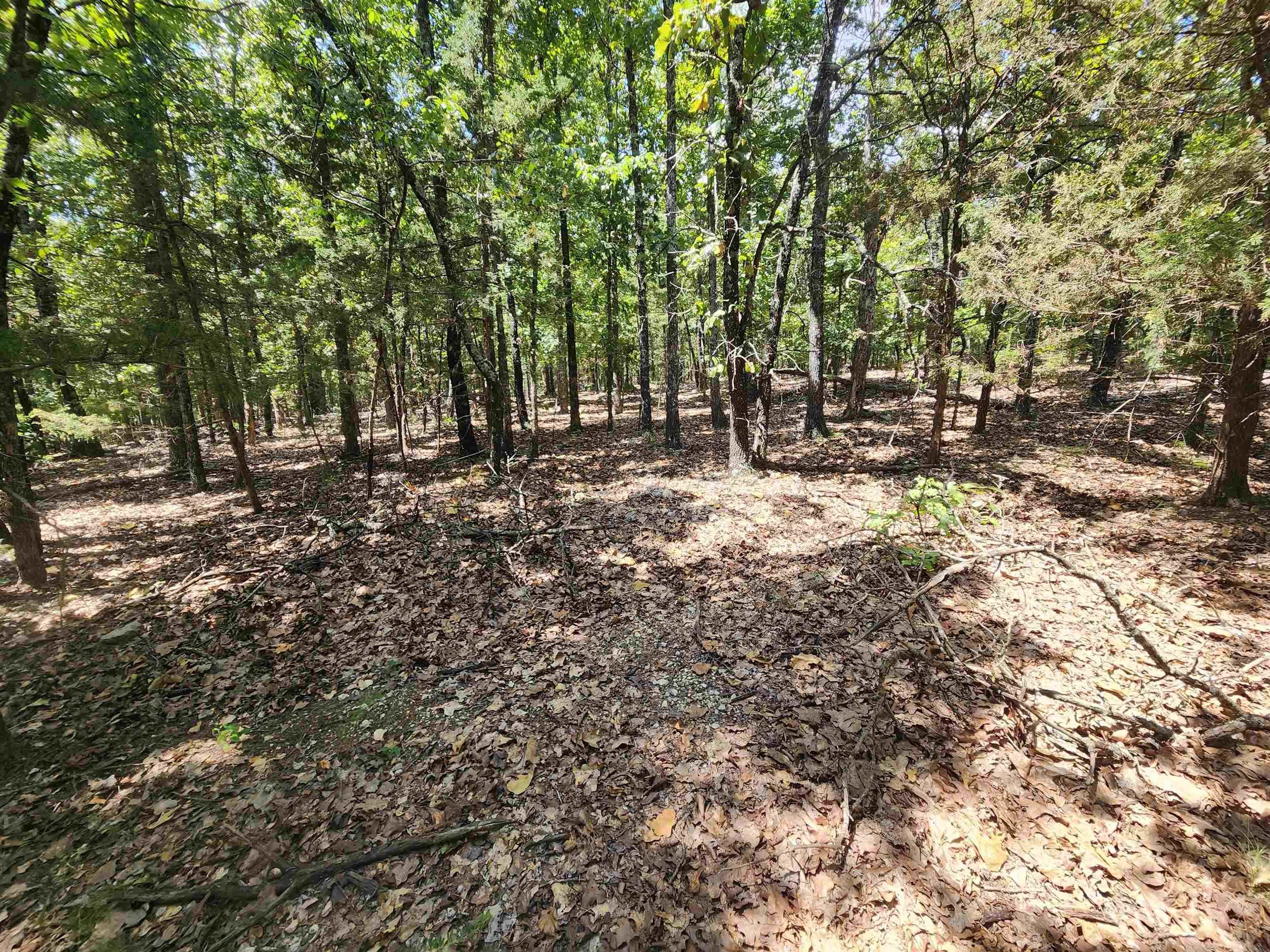 L101-103, B-3 Lightning  Highland, AR