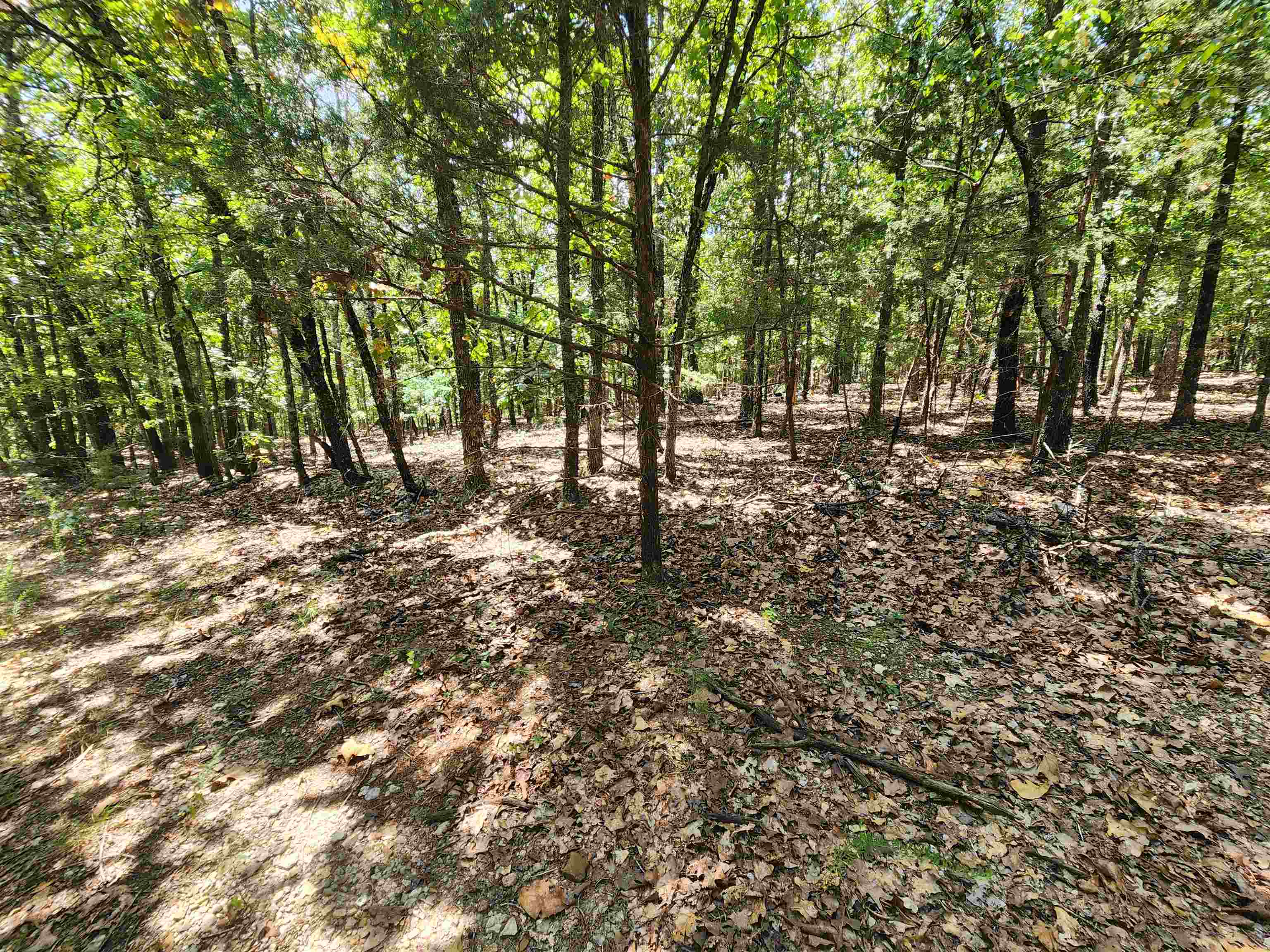 L101-103, B-3 Lightning  Highland, AR