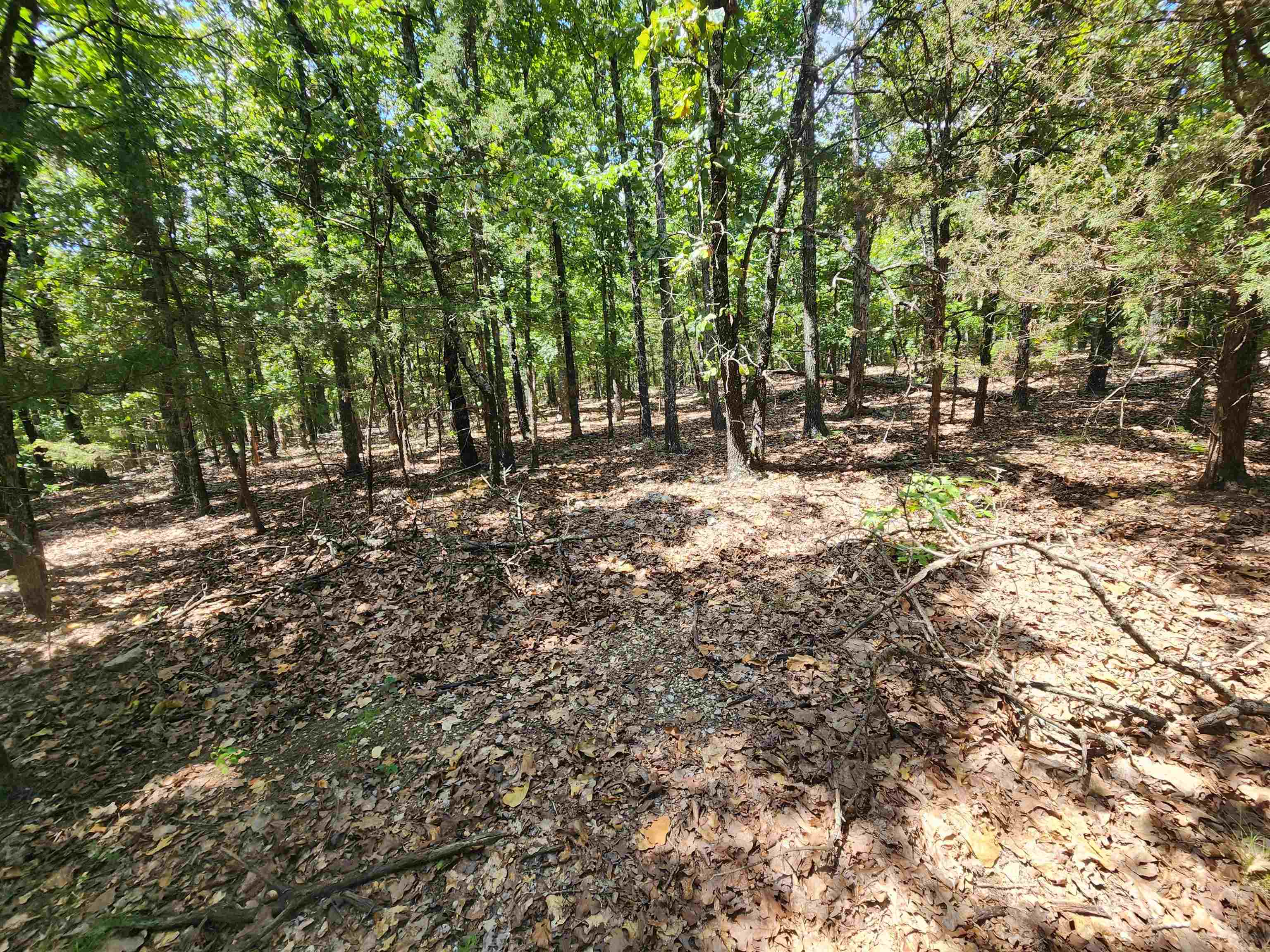 L101-103, B-3 Lightning  Highland, AR