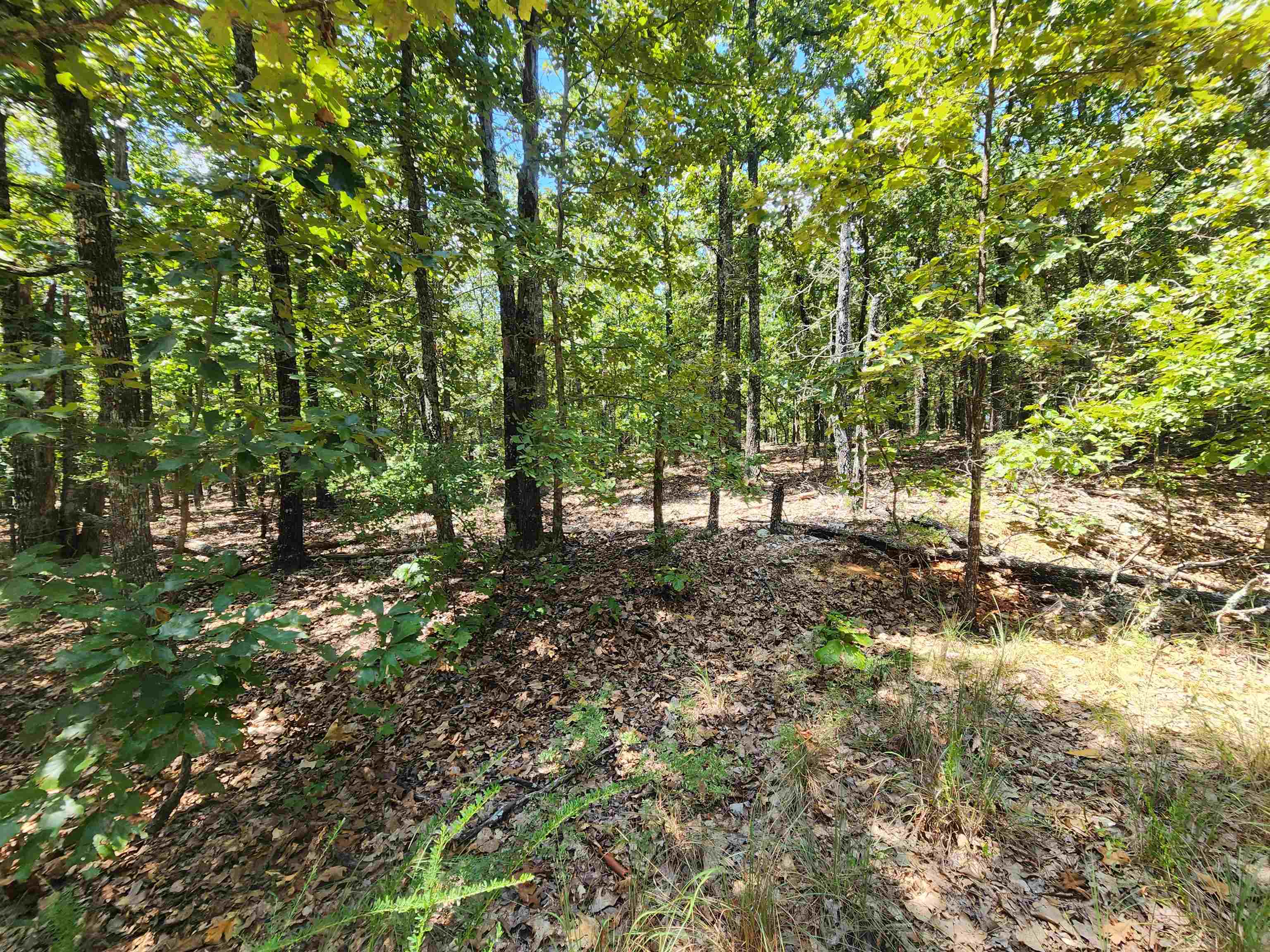 L101-103, B-3 Lightning  Highland, AR