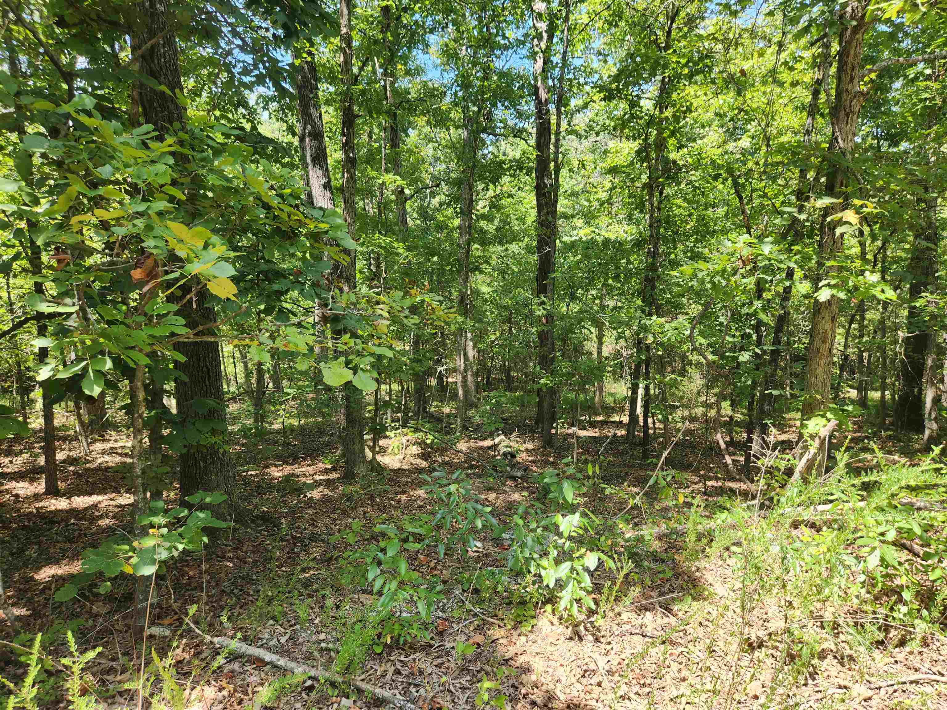 L-13, B-6 Calumet  Cherokee Village, AR