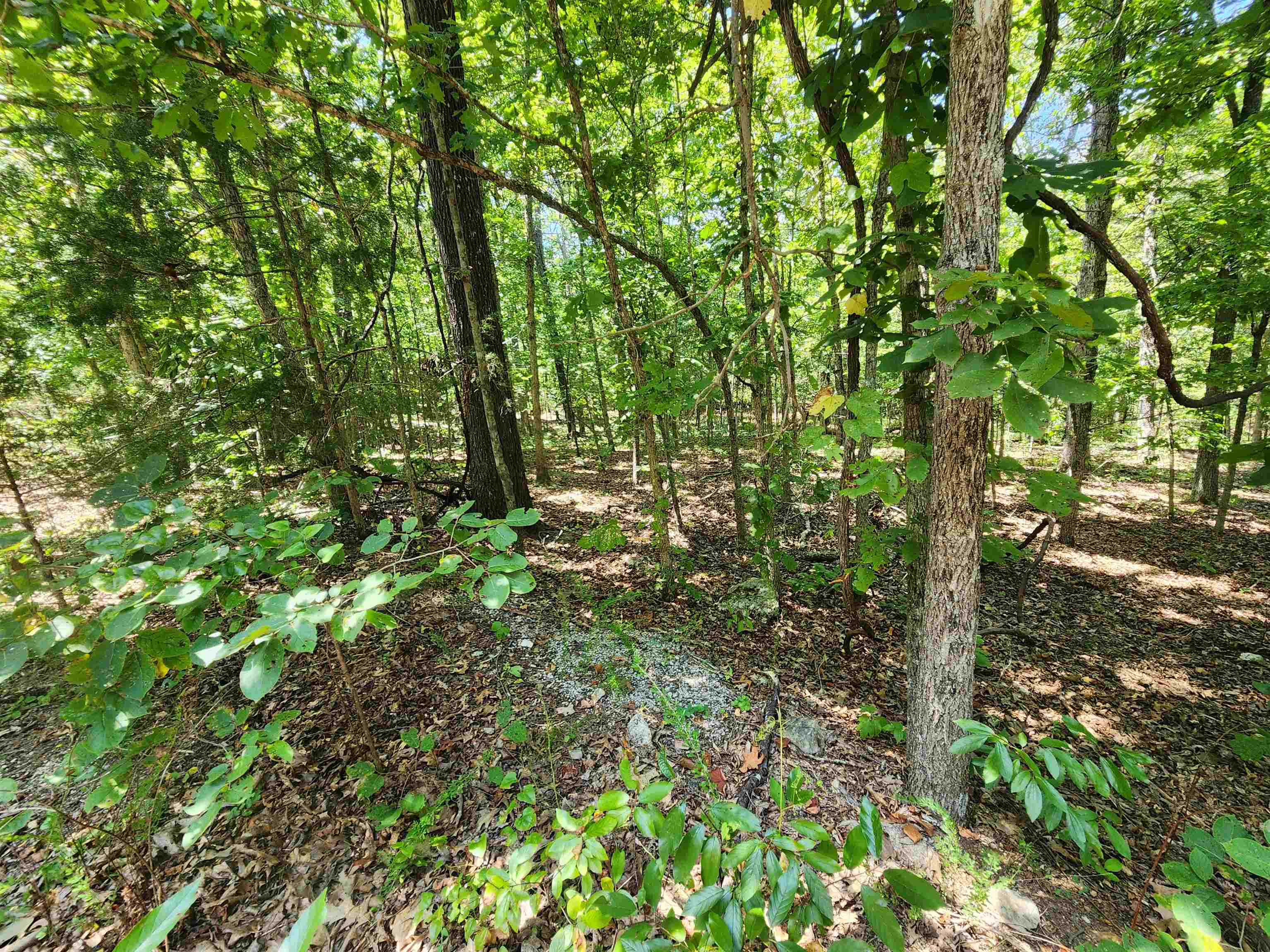 L-13, B-6 Calumet  Cherokee Village, AR