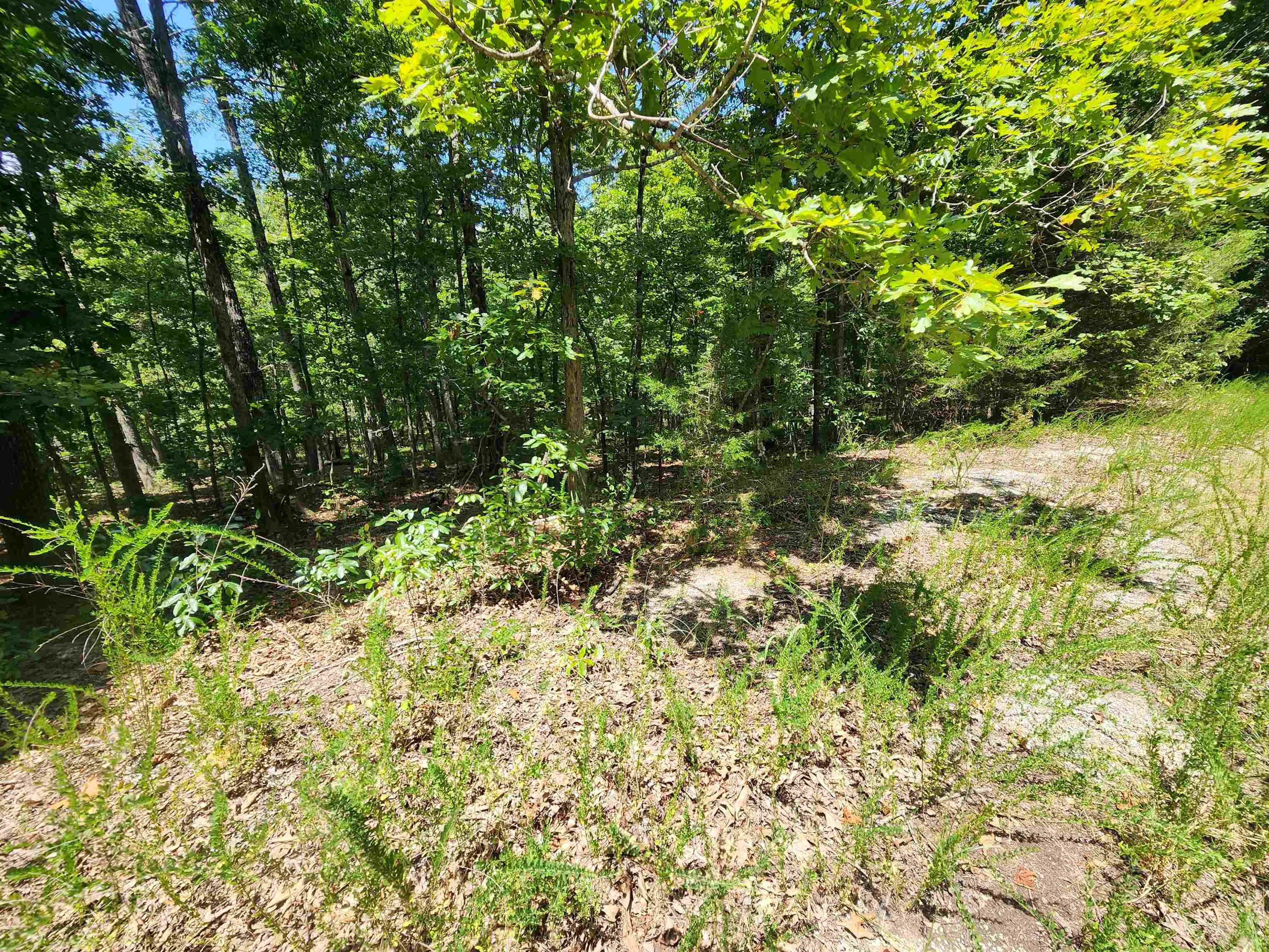 L-13, B-6 Calumet  Cherokee Village, AR