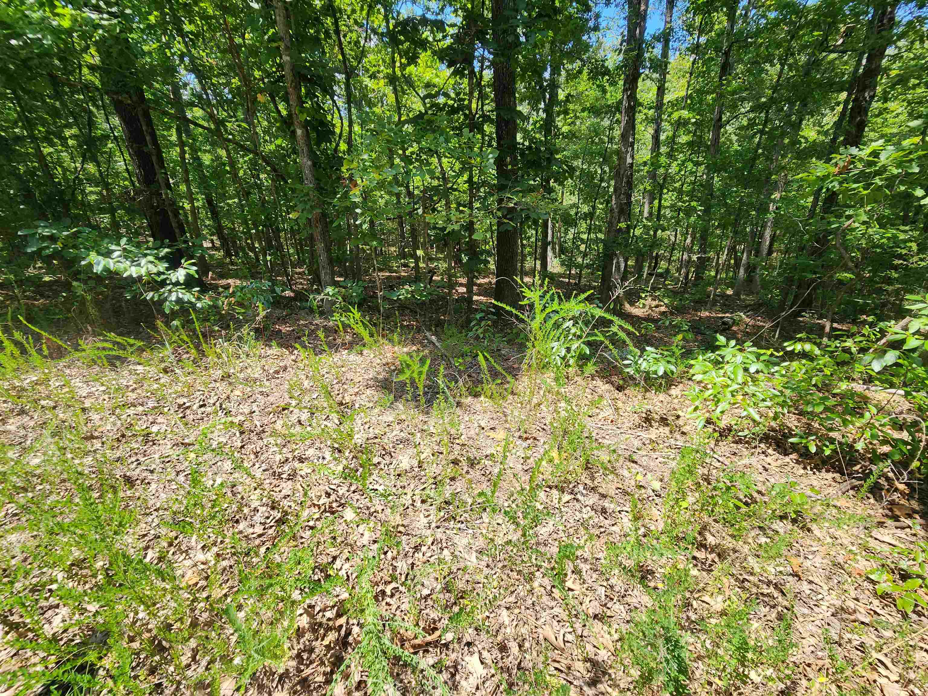 L-13, B-6 Calumet  Cherokee Village, AR