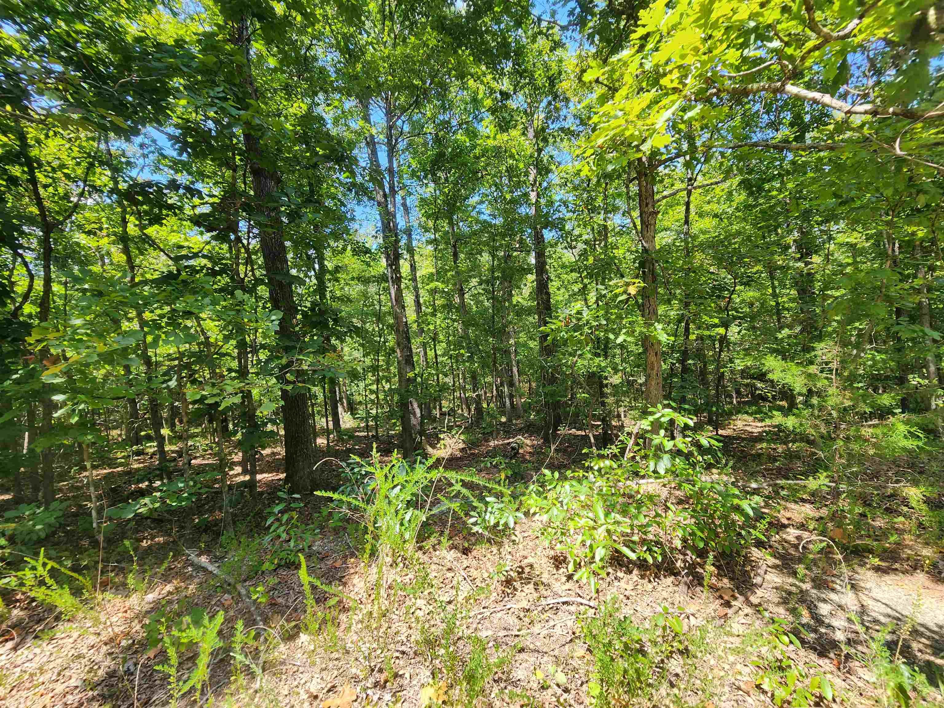 L-13, B-6 Calumet  Cherokee Village, AR