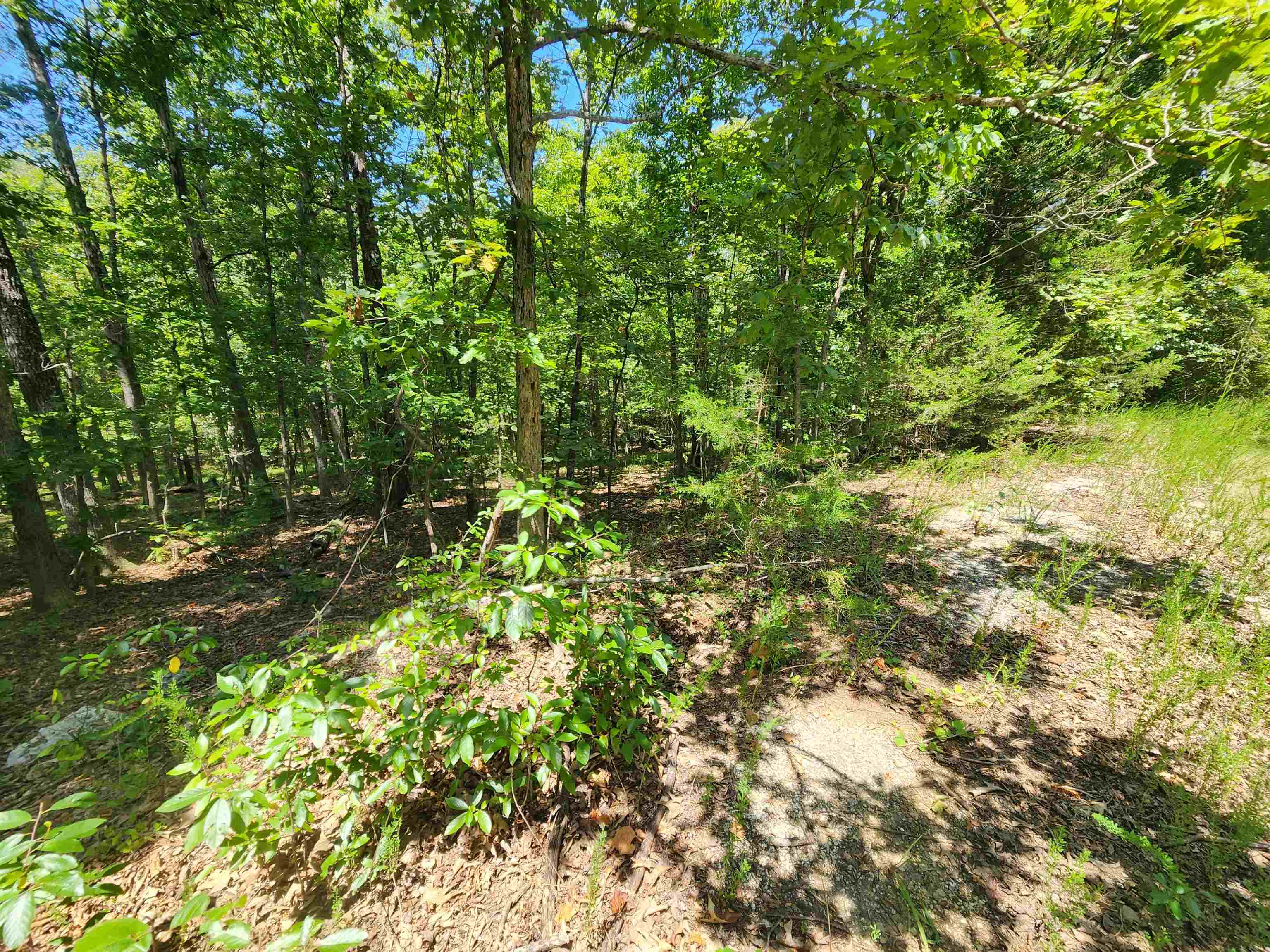 L-13, B-6 Calumet  Cherokee Village, AR