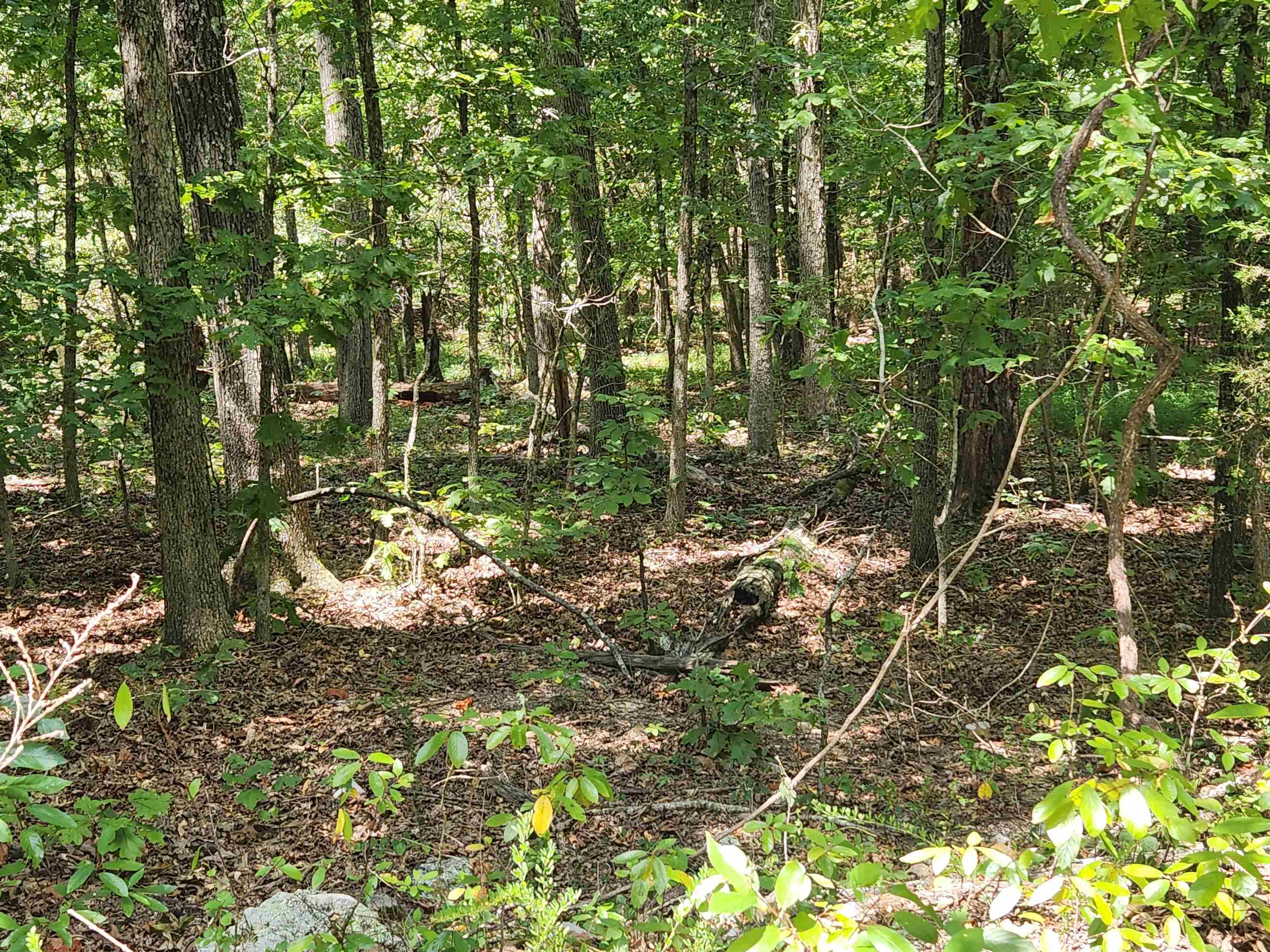 L-13, B-6 Calumet  Cherokee Village, AR