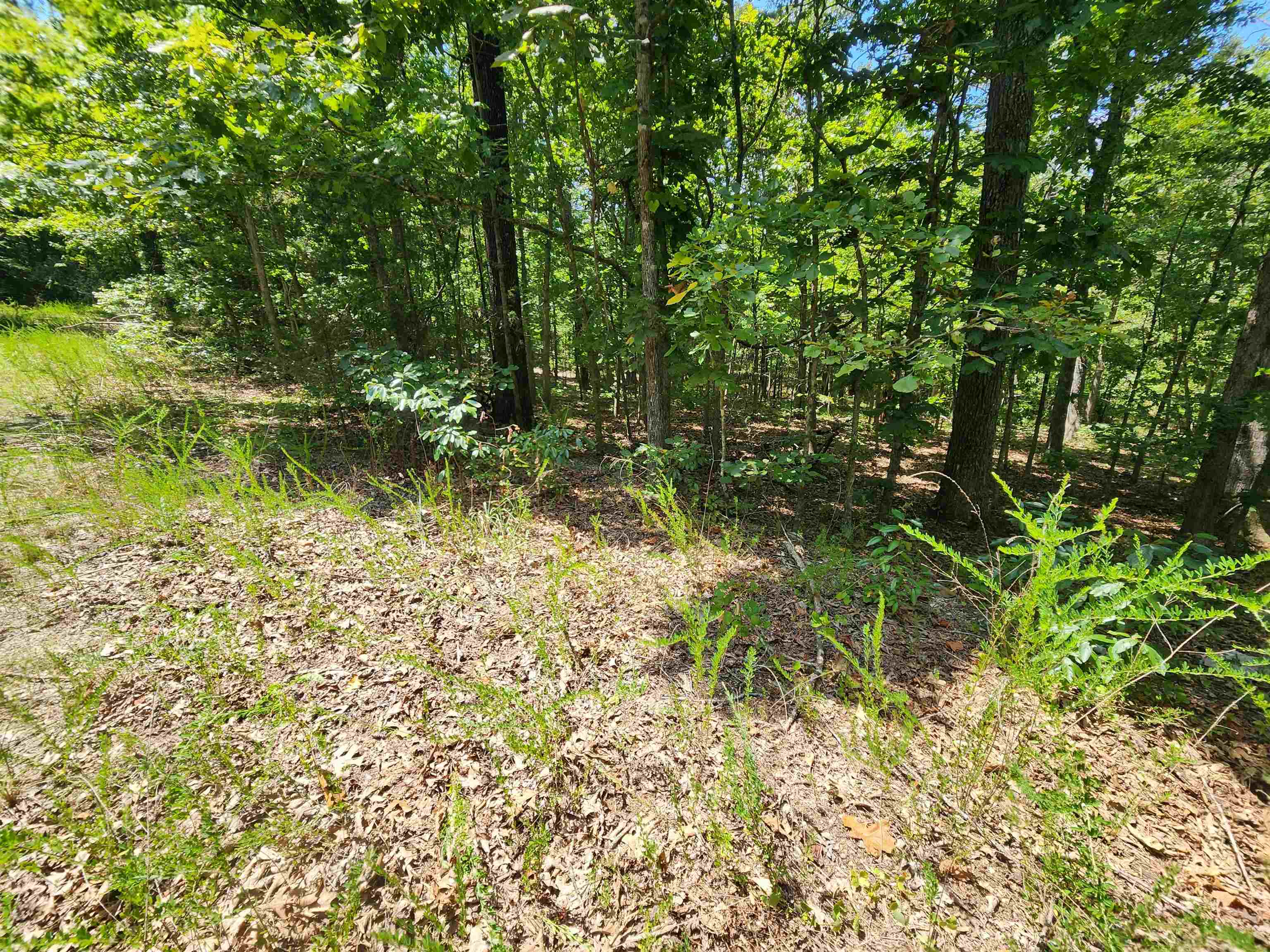 L-13, B-6 Calumet  Cherokee Village, AR