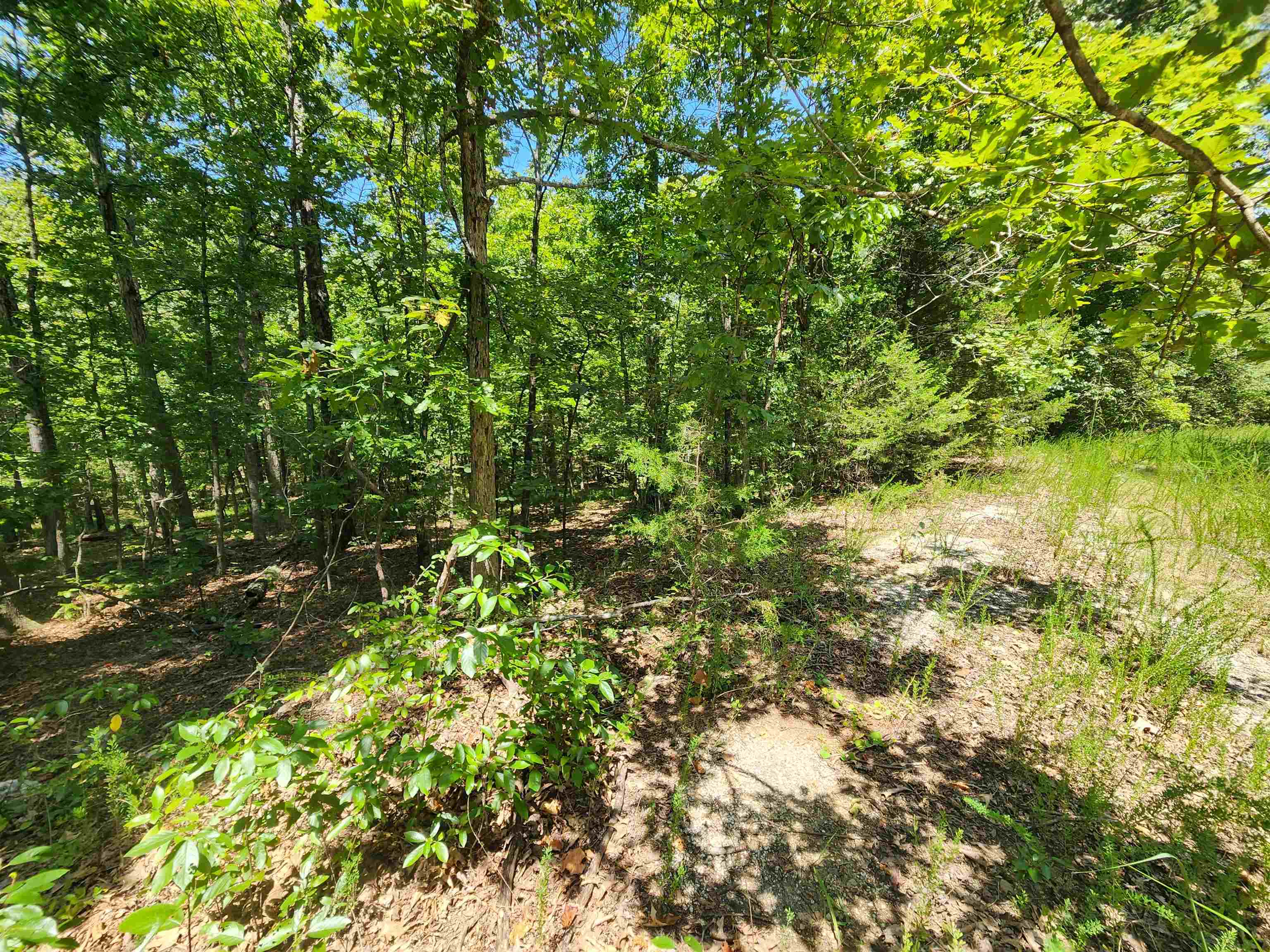 L-13, B-6 Calumet  Cherokee Village, AR