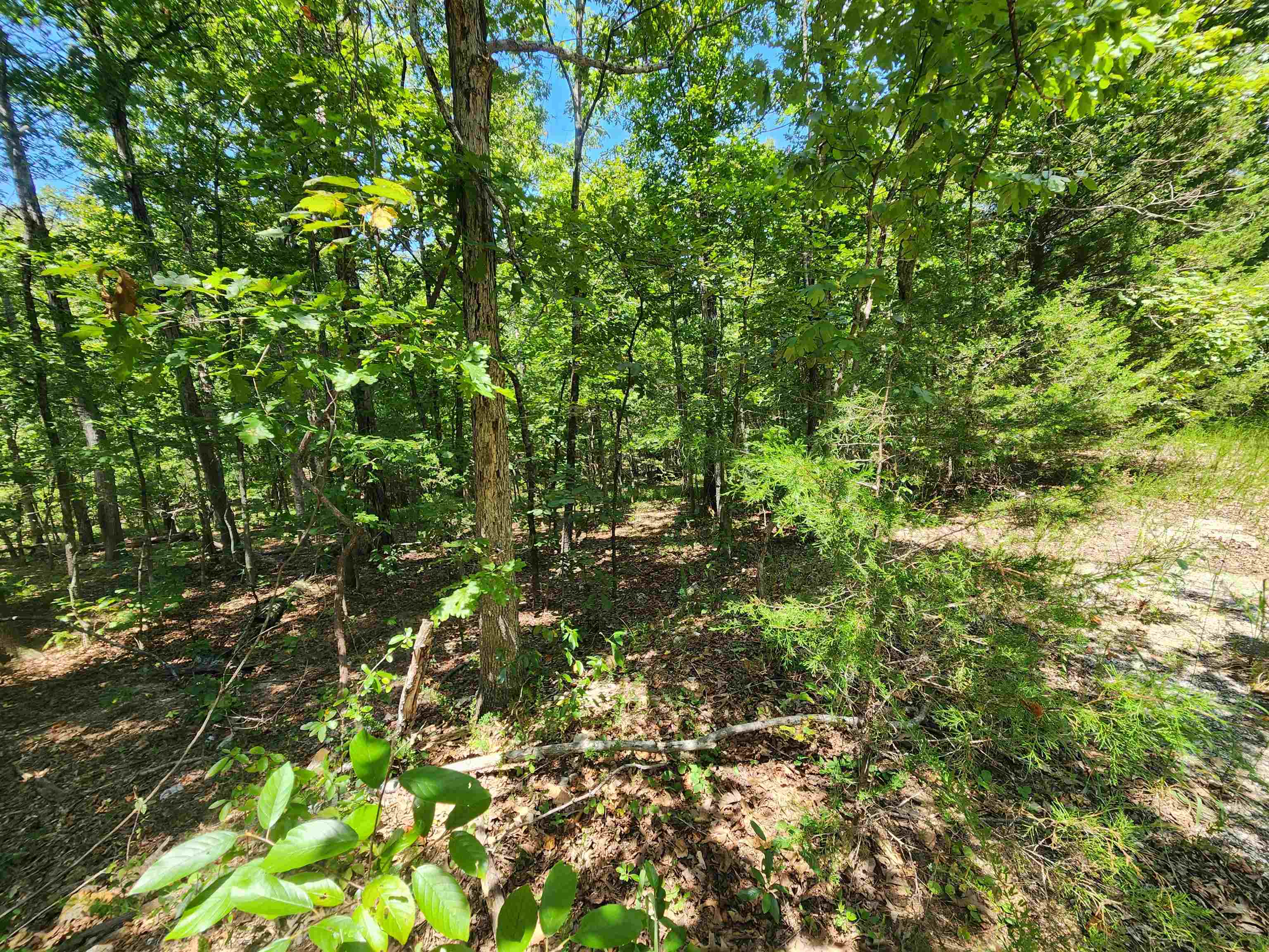 L-13, B-6 Calumet  Cherokee Village, AR