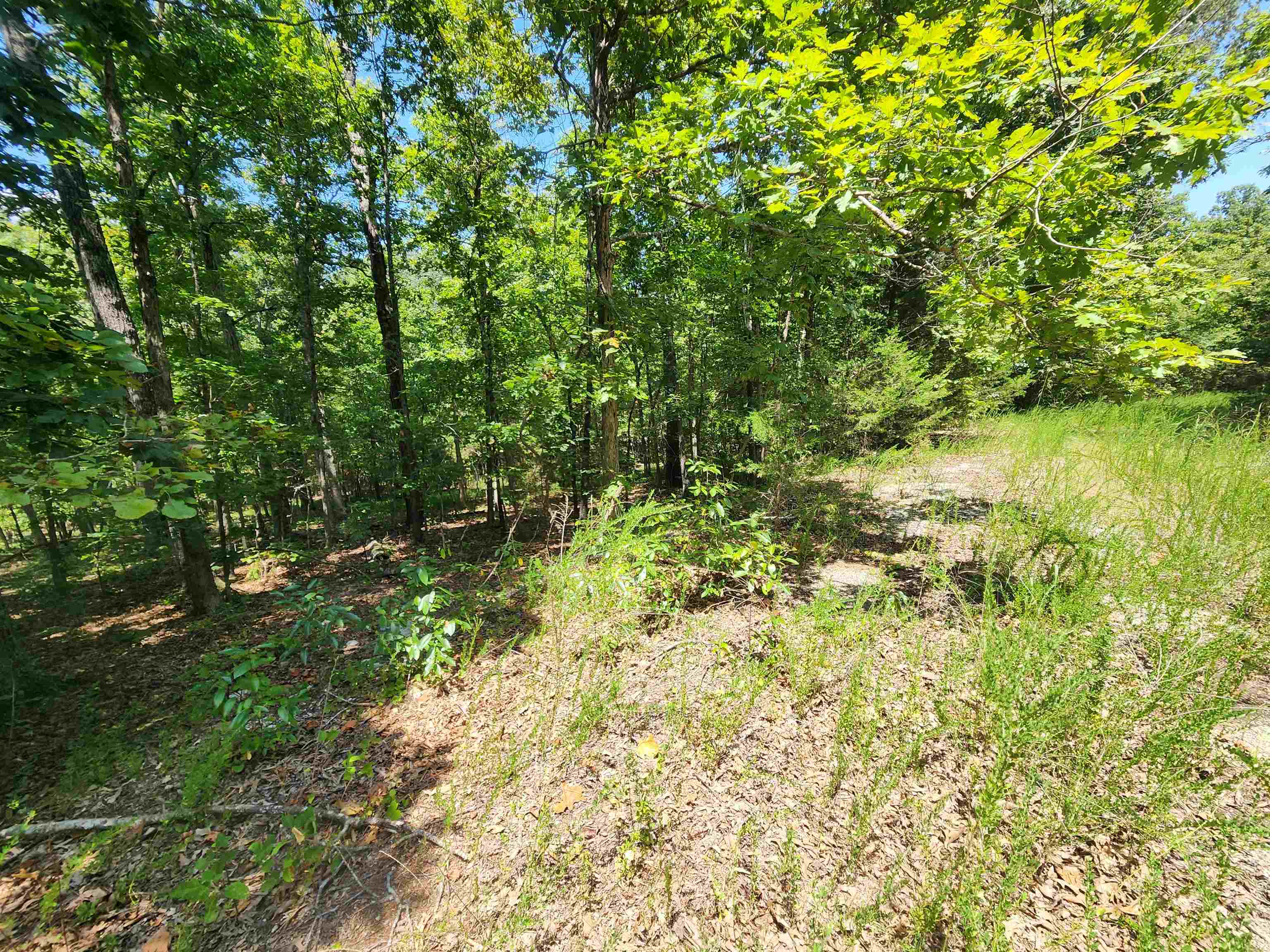 L-13, B-6 Calumet  Cherokee Village, AR