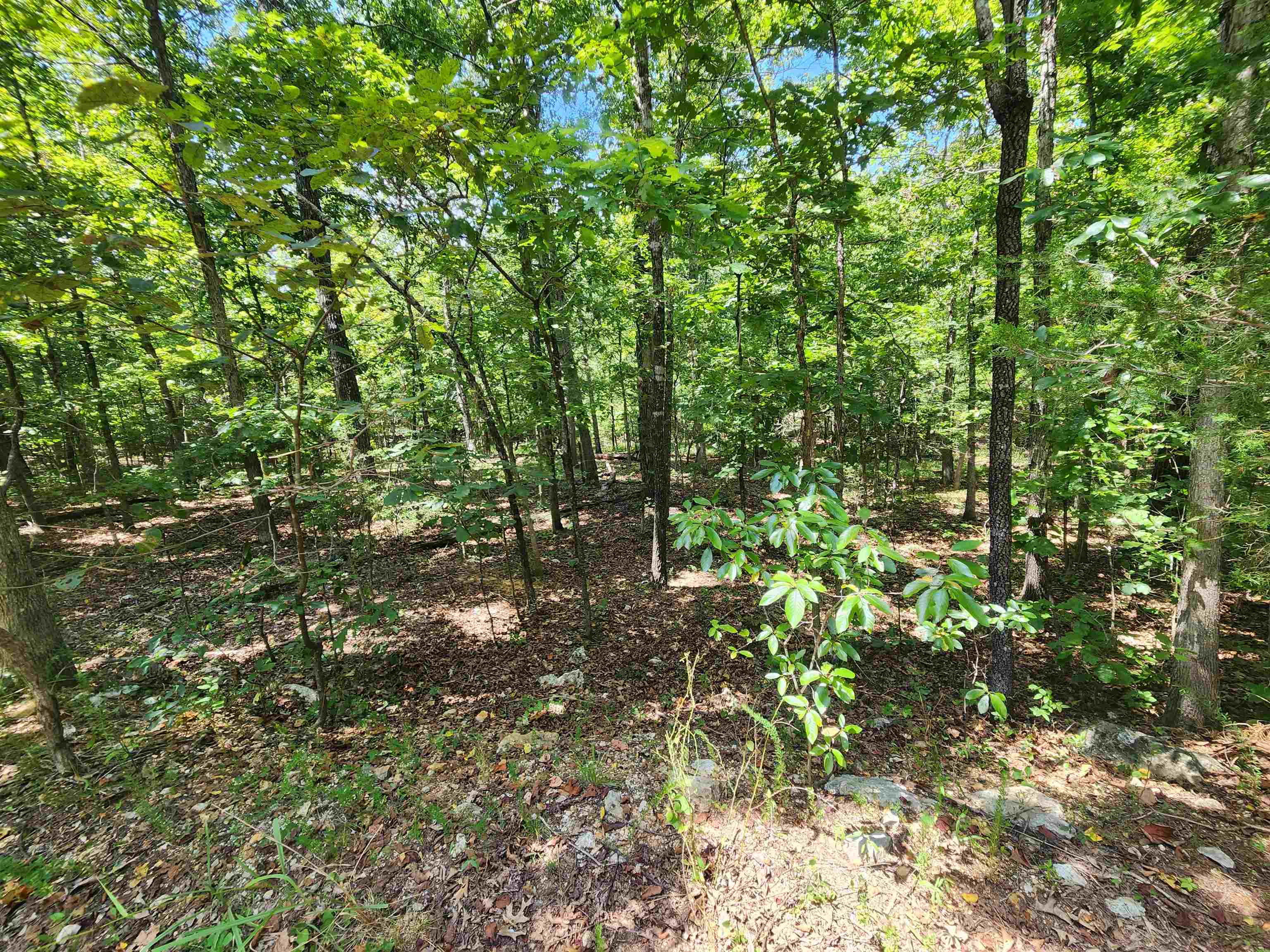 L-13, B-6 Calumet  Cherokee Village, AR