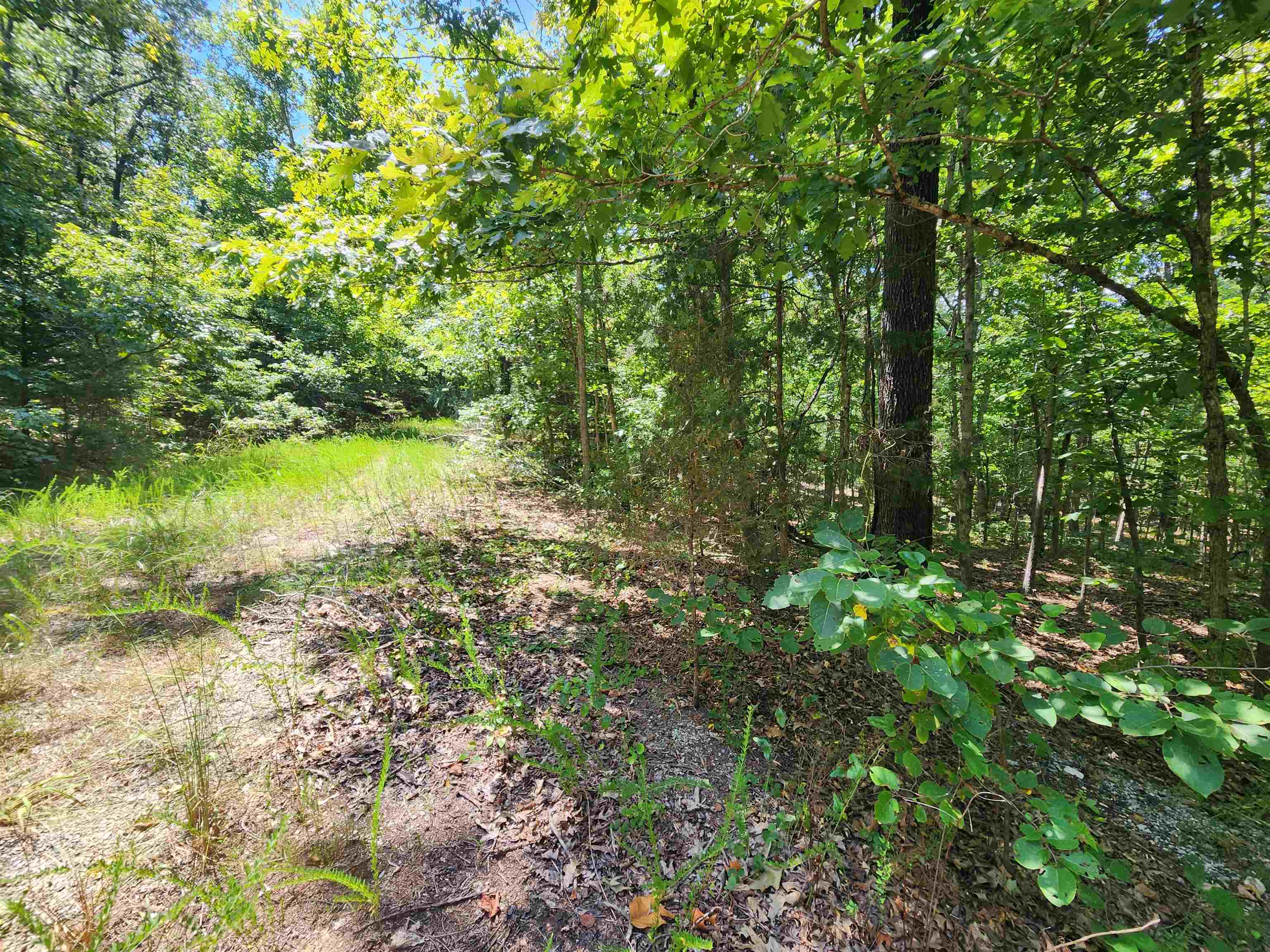 L-13, B-6 Calumet  Cherokee Village, AR