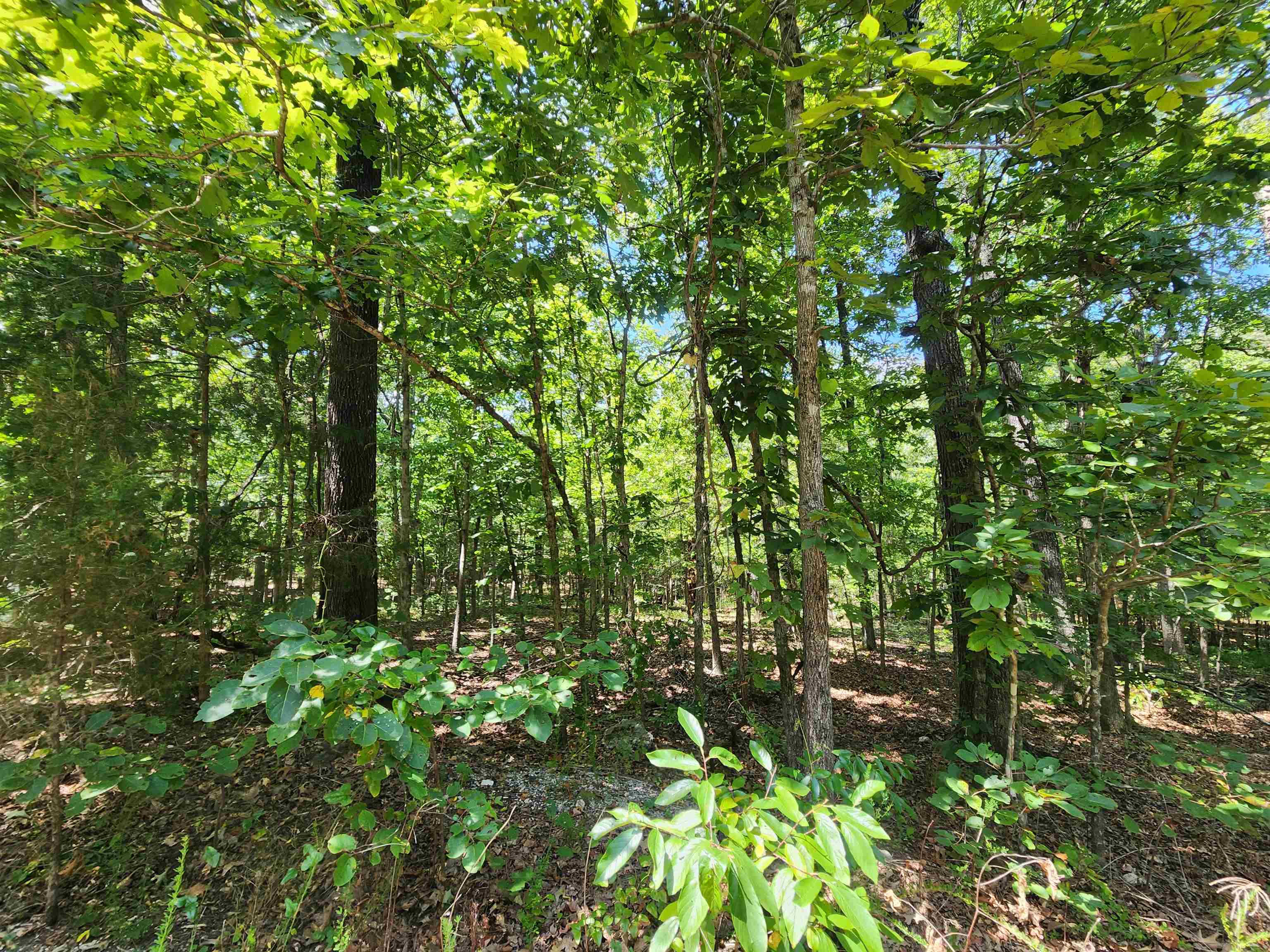 L-13, B-6 Calumet  Cherokee Village, AR