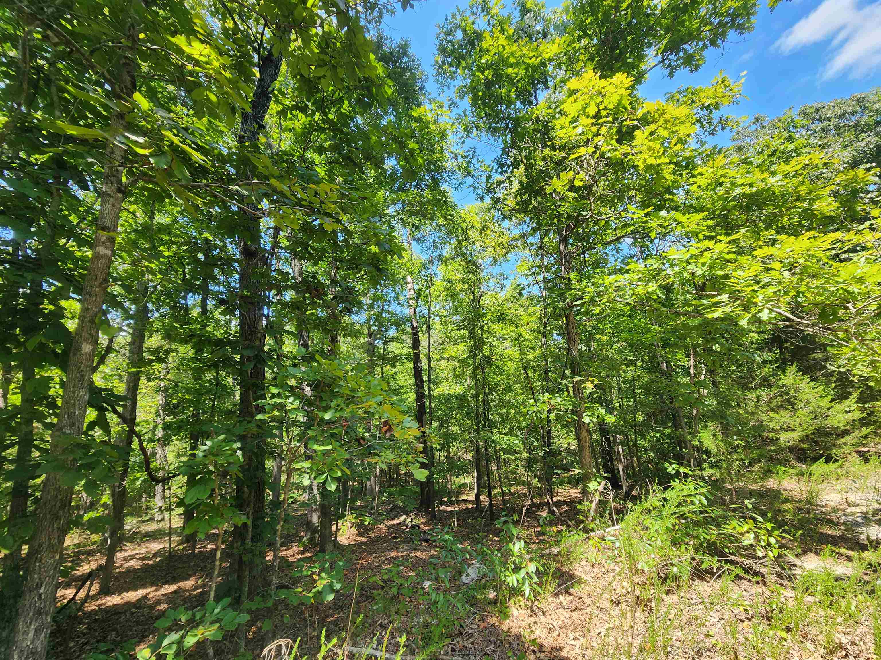 L-13, B-6 Calumet  Cherokee Village, AR