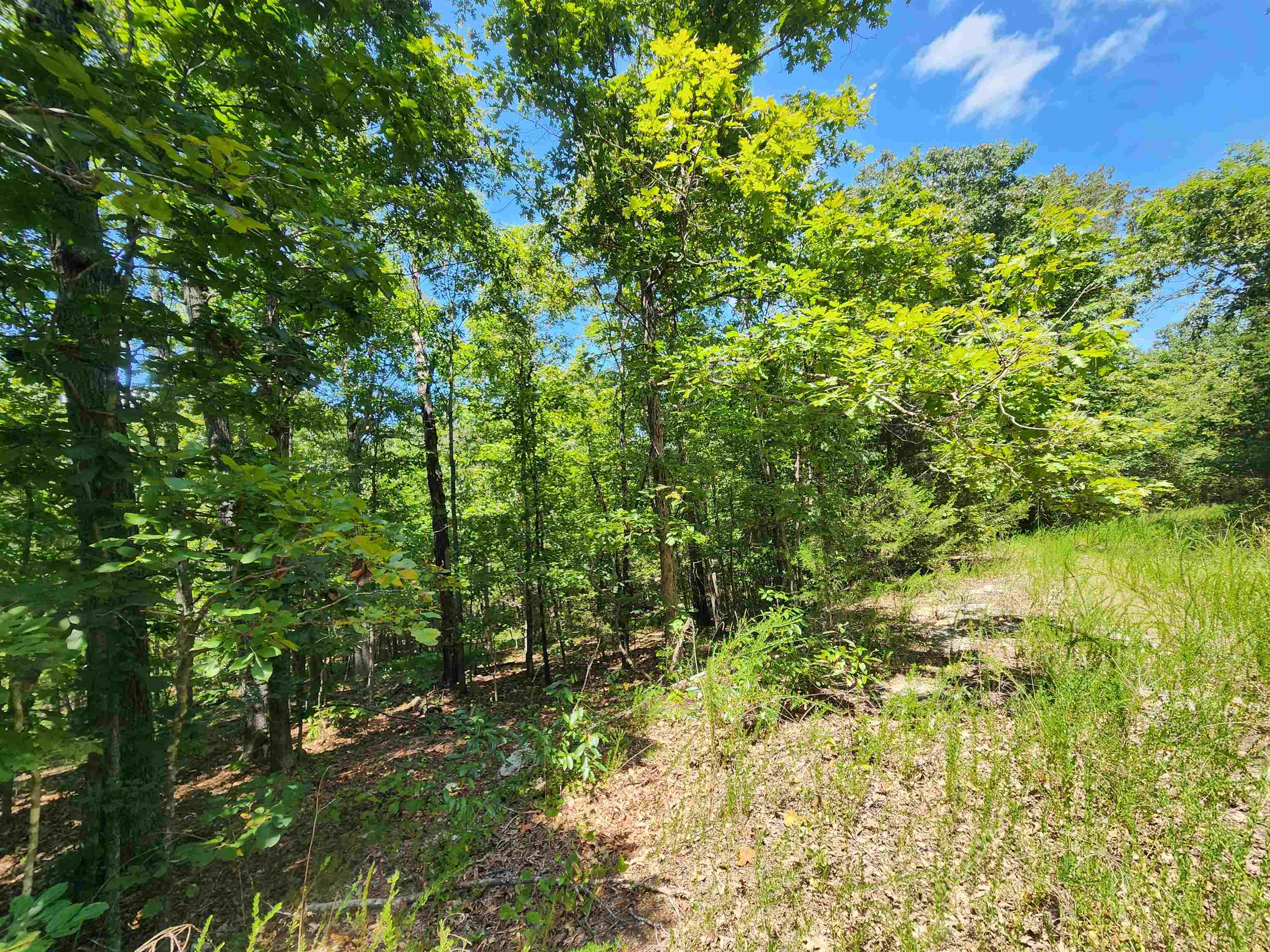 L-13, B-6 Calumet  Cherokee Village, AR