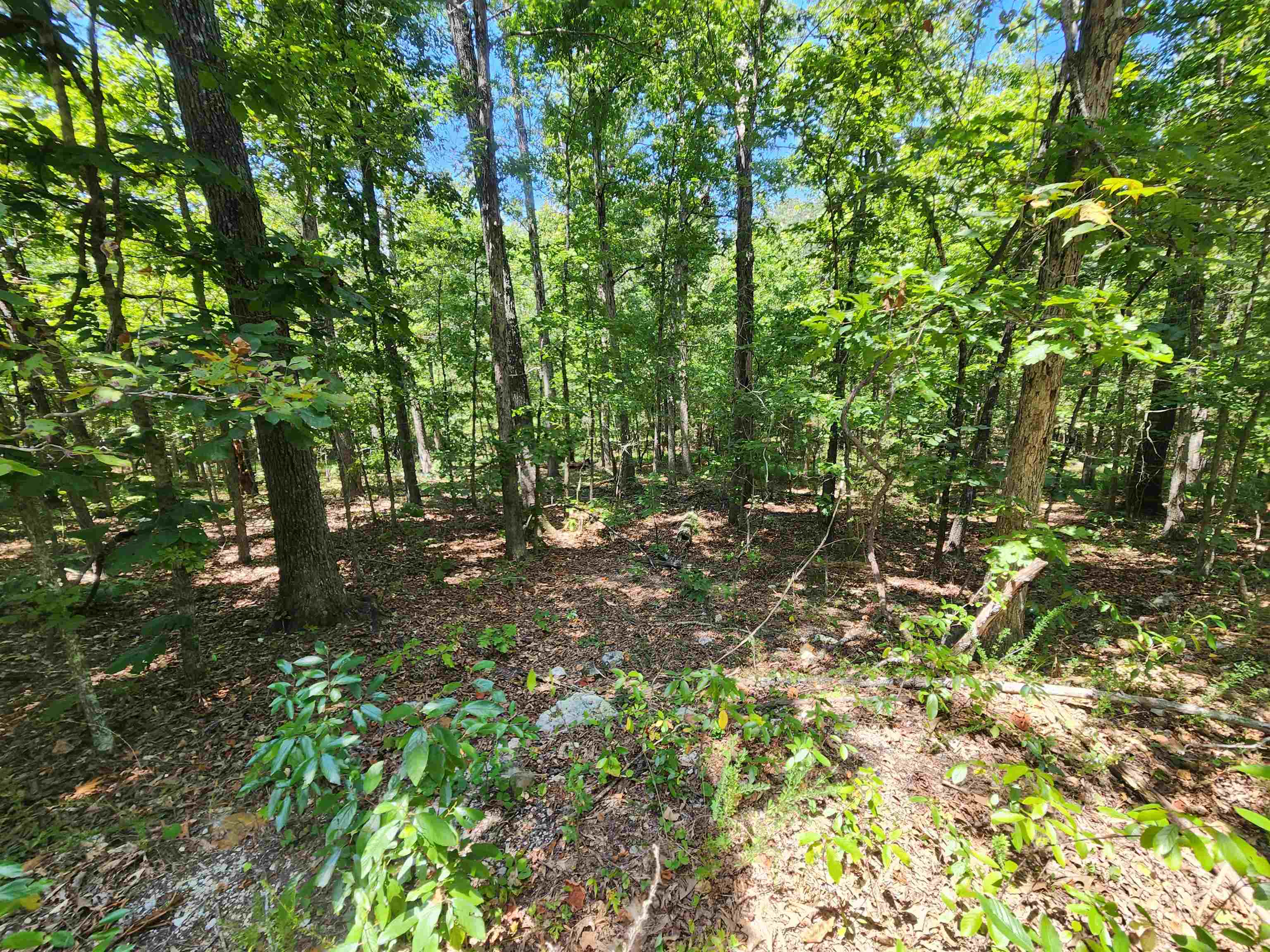 L-13, B-6 Calumet  Cherokee Village, AR