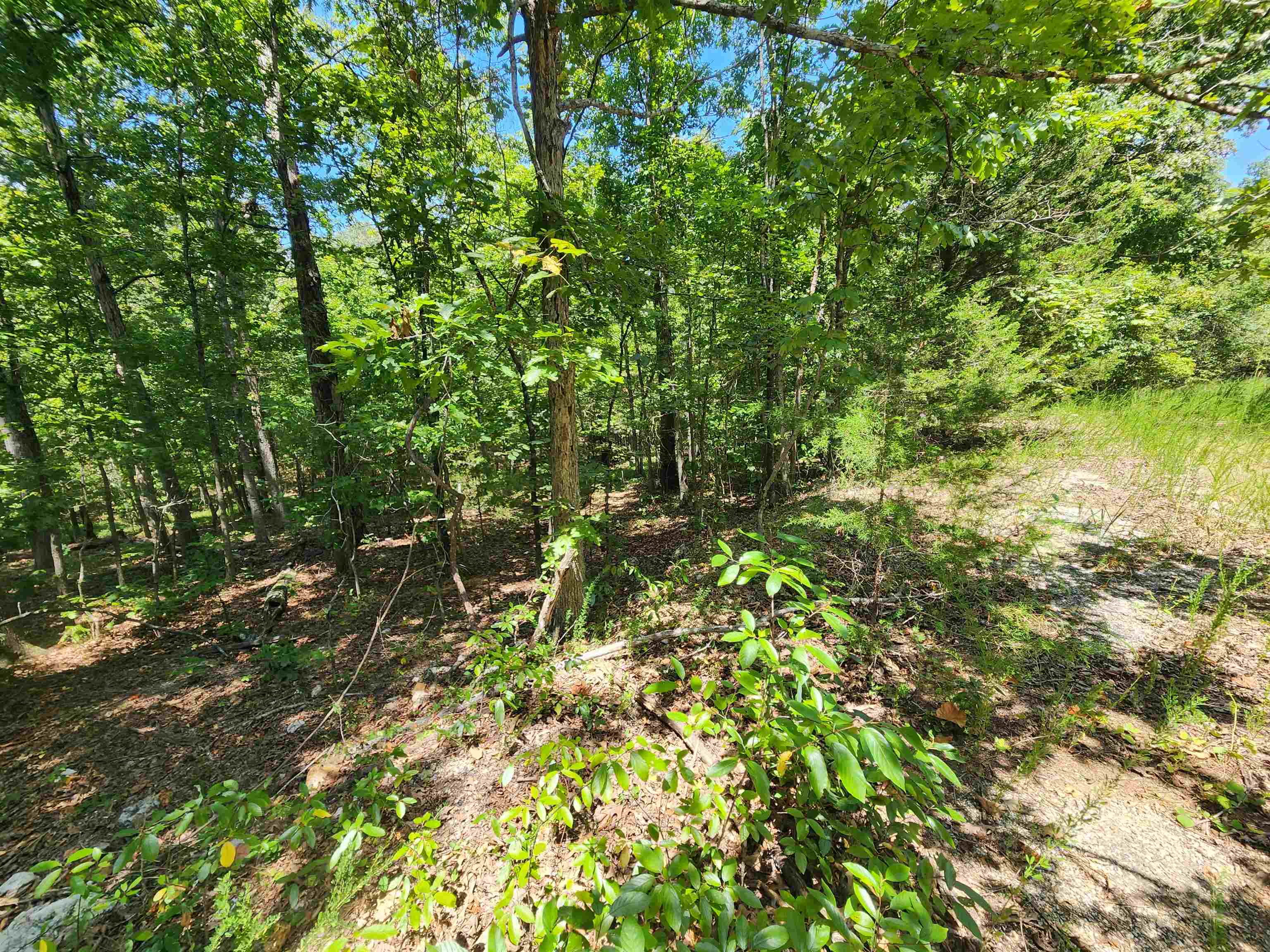 L-13, B-6 Calumet  Cherokee Village, AR