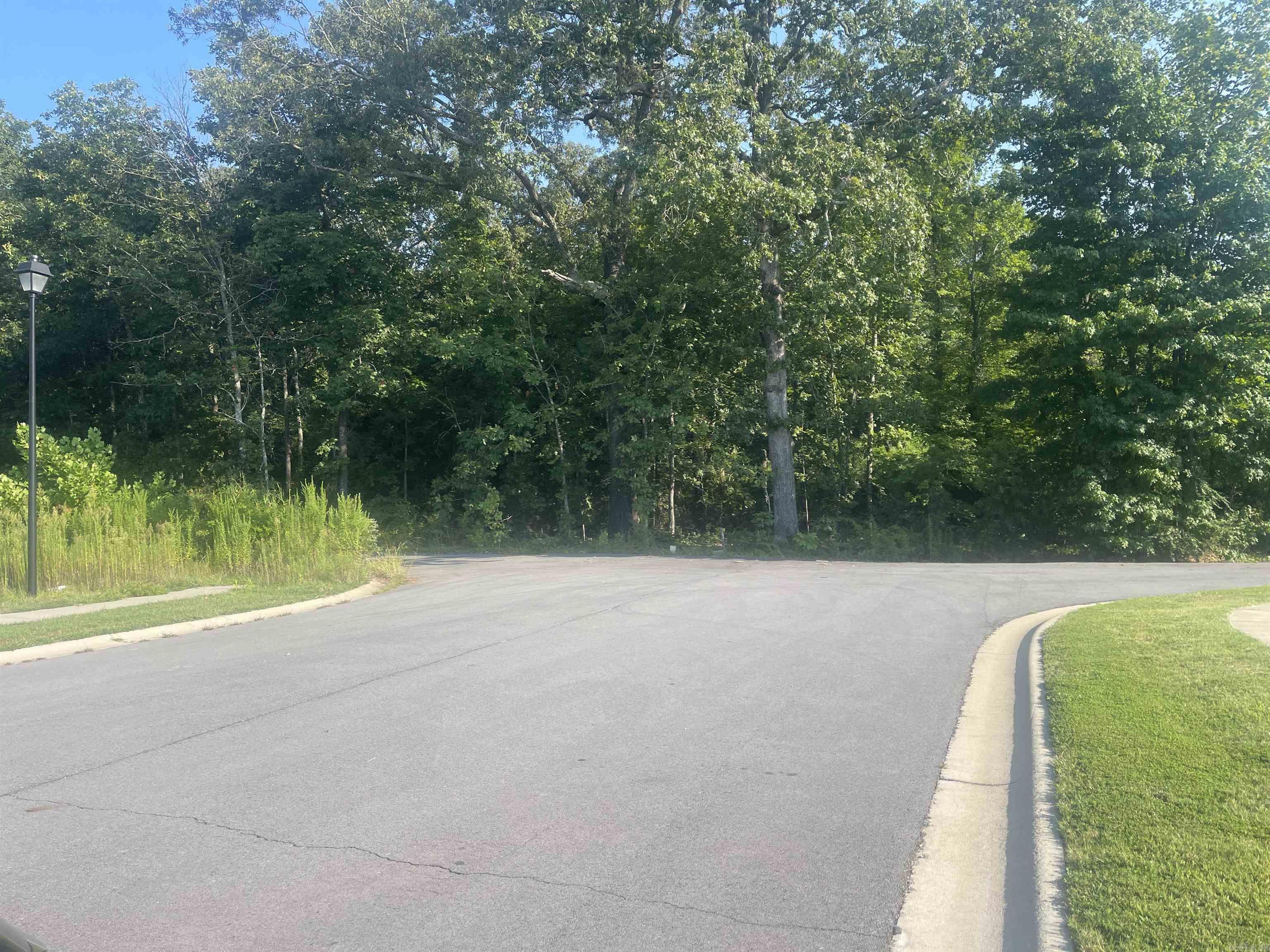  Blake Lane  Conway, AR