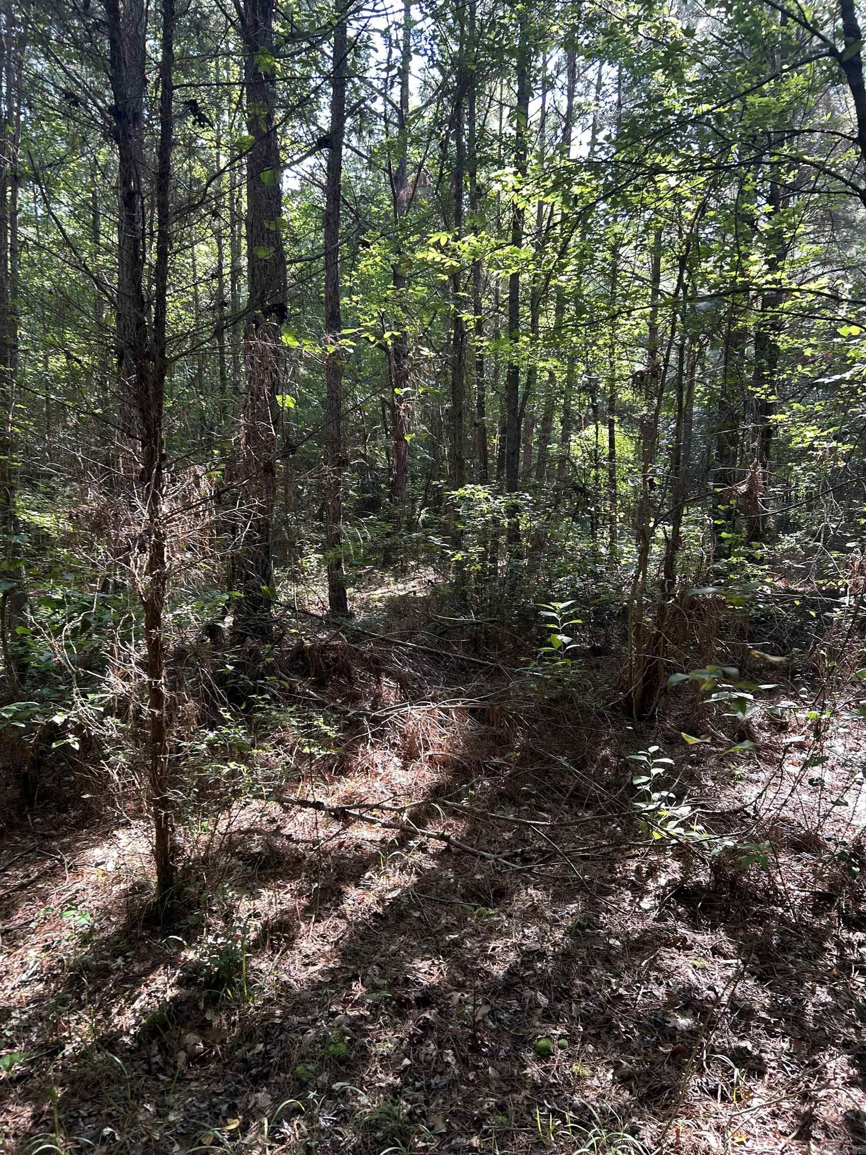 TBD Hempstead 14  Washington, AR