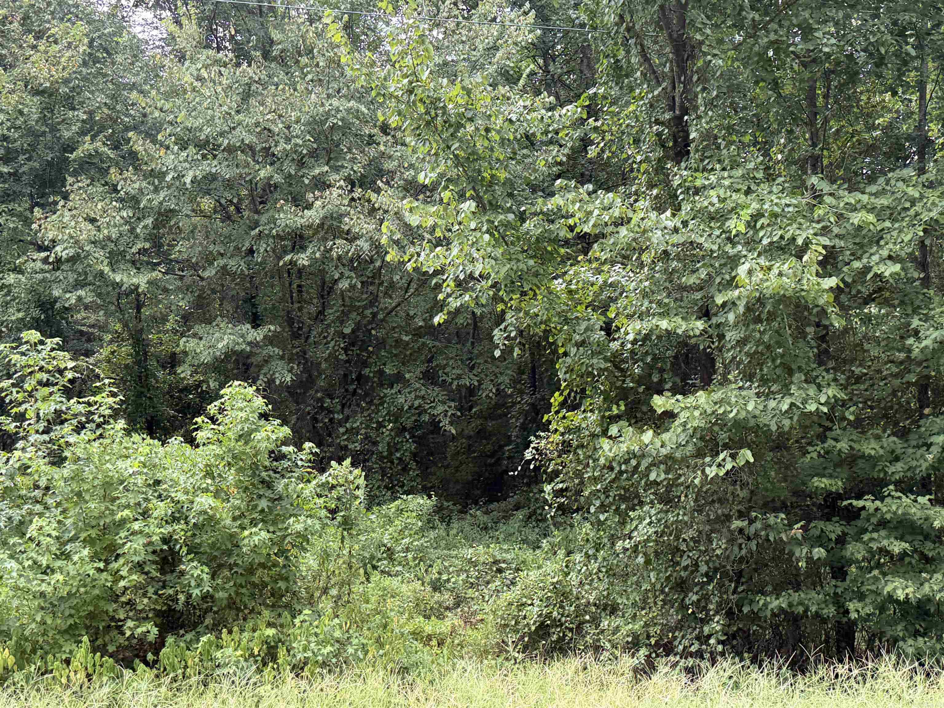 TBD Hwy 26 West  Nashville, AR