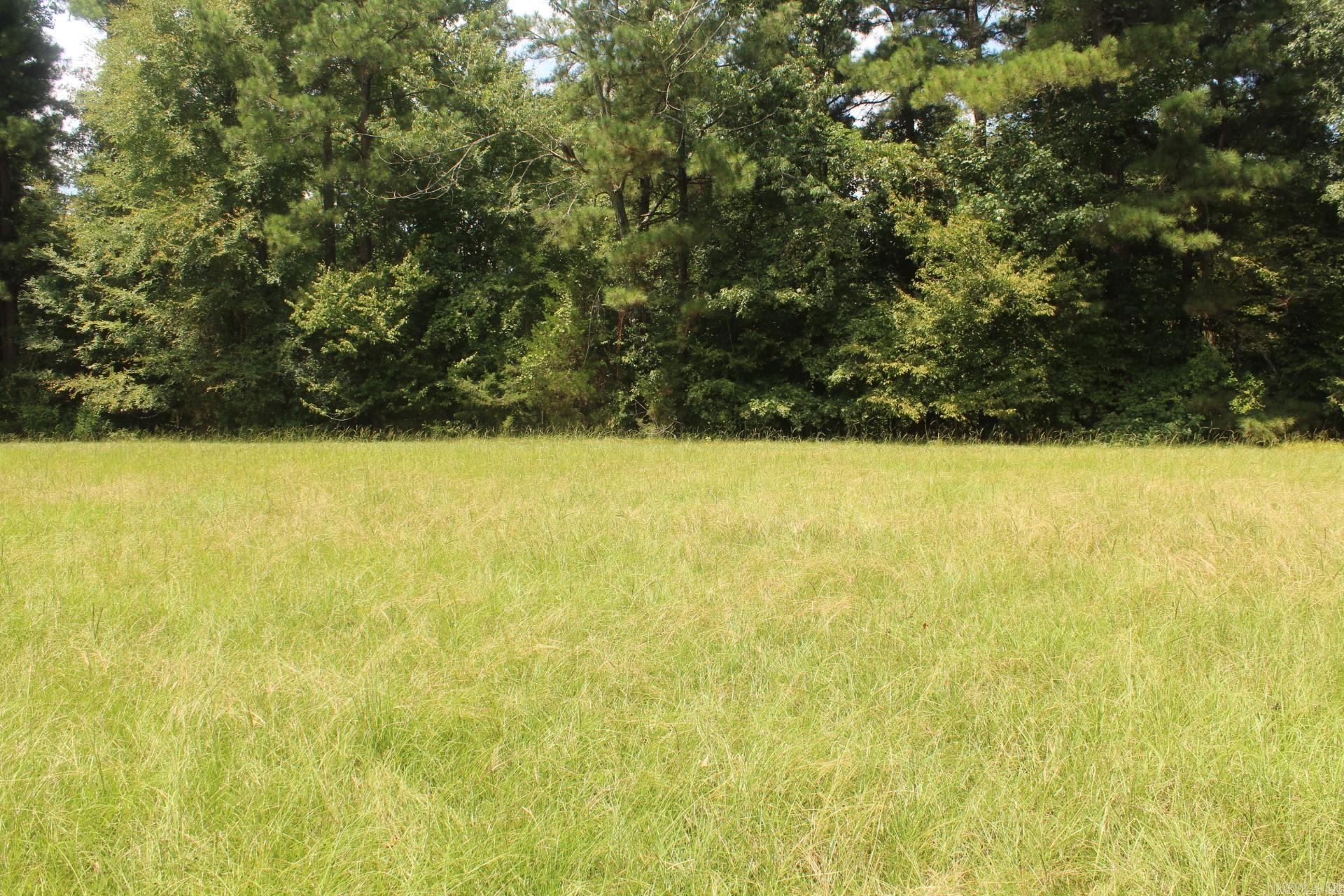 437 Billstown  Delight, AR