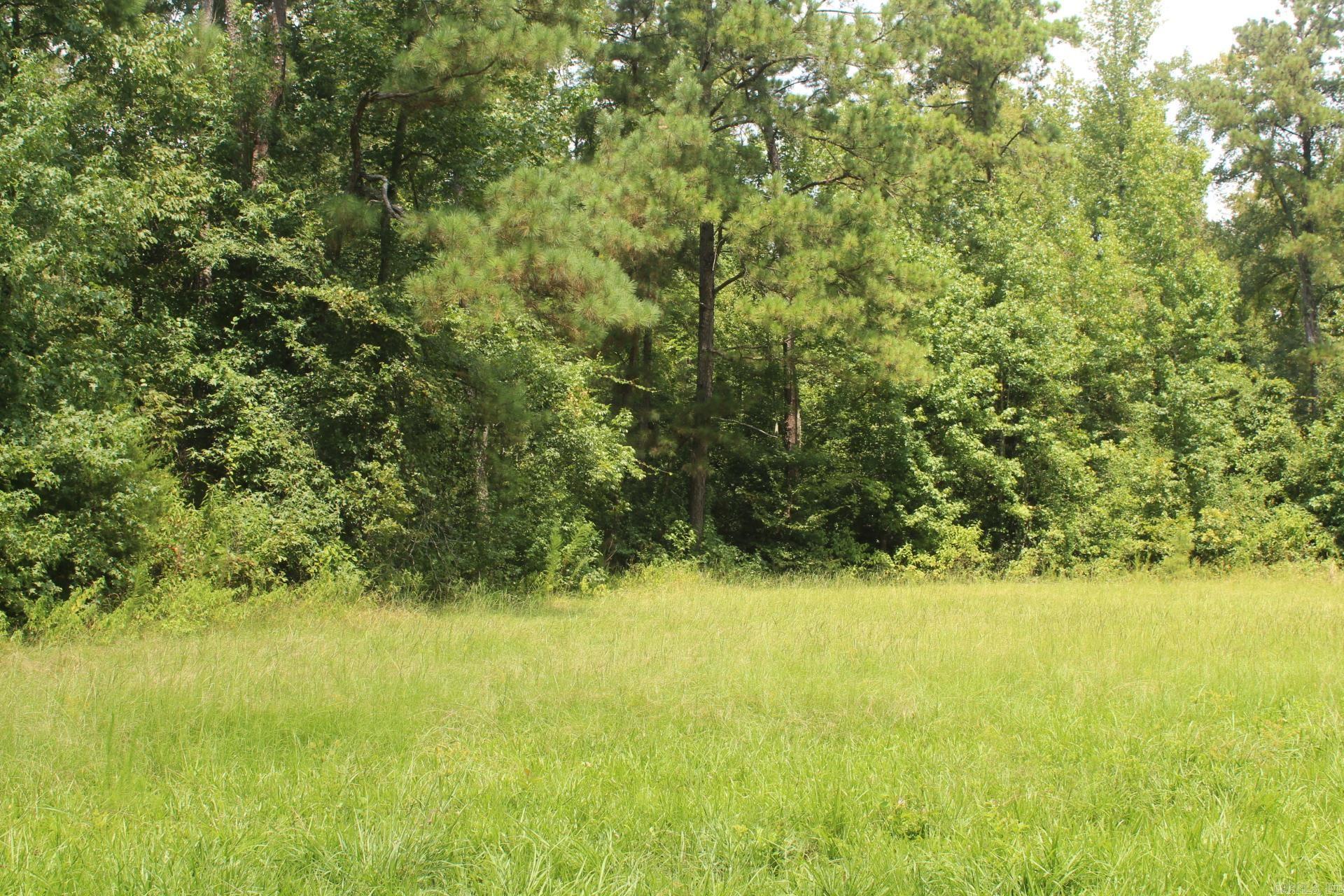 437 Billstown  Delight, AR