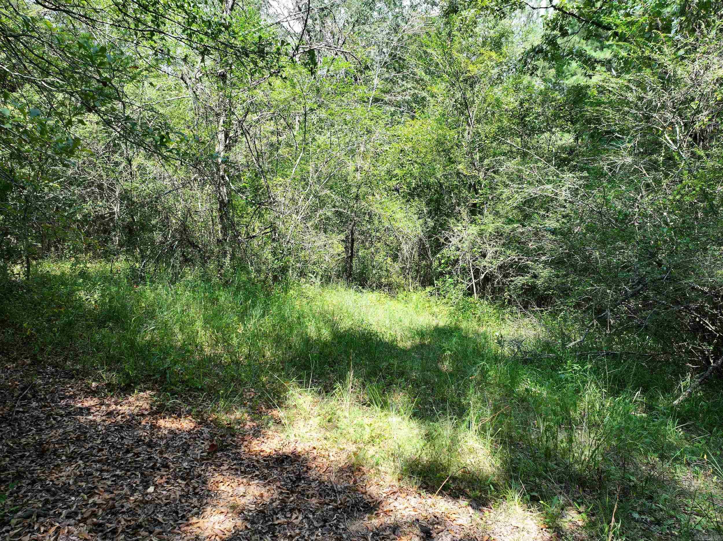 XXX HWY 70  Newhope, AR