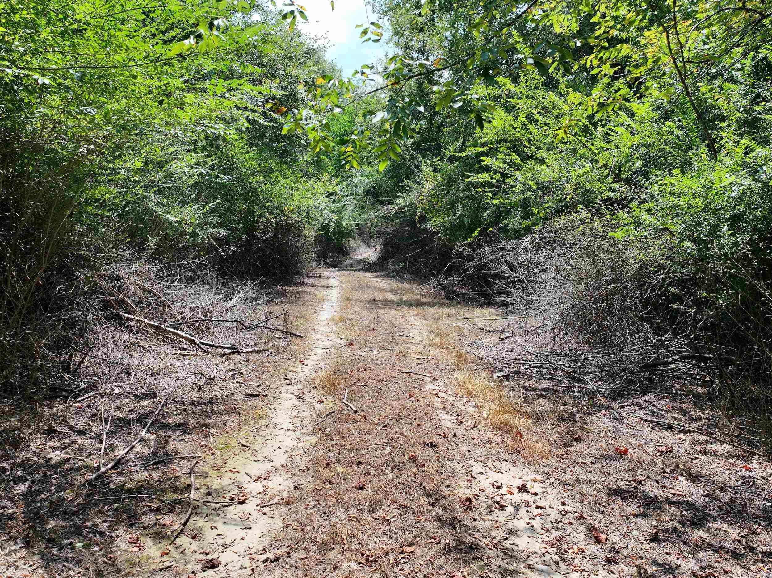 XXX HWY 70  Newhope, AR