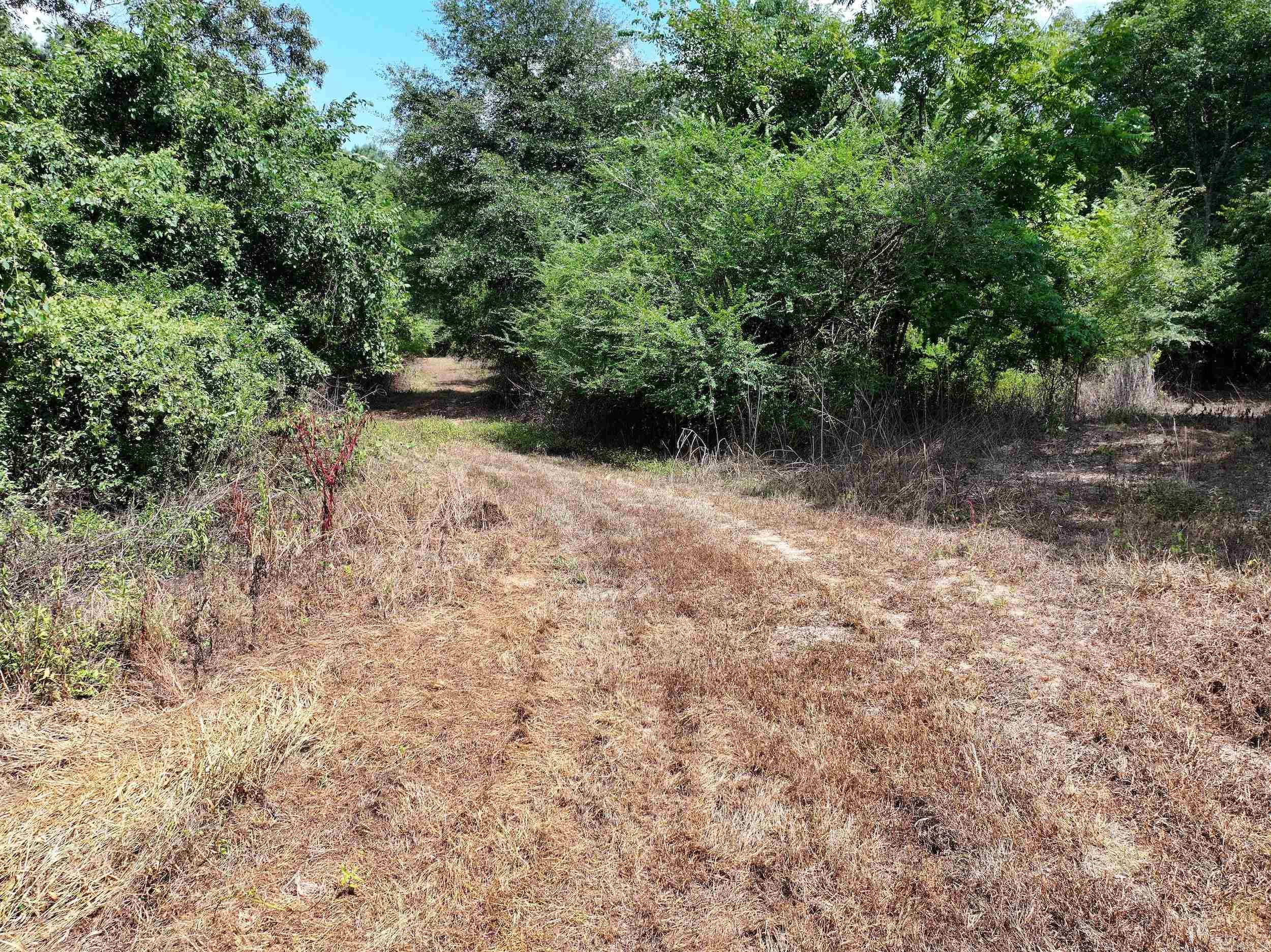 XXX HWY 70  Newhope, AR