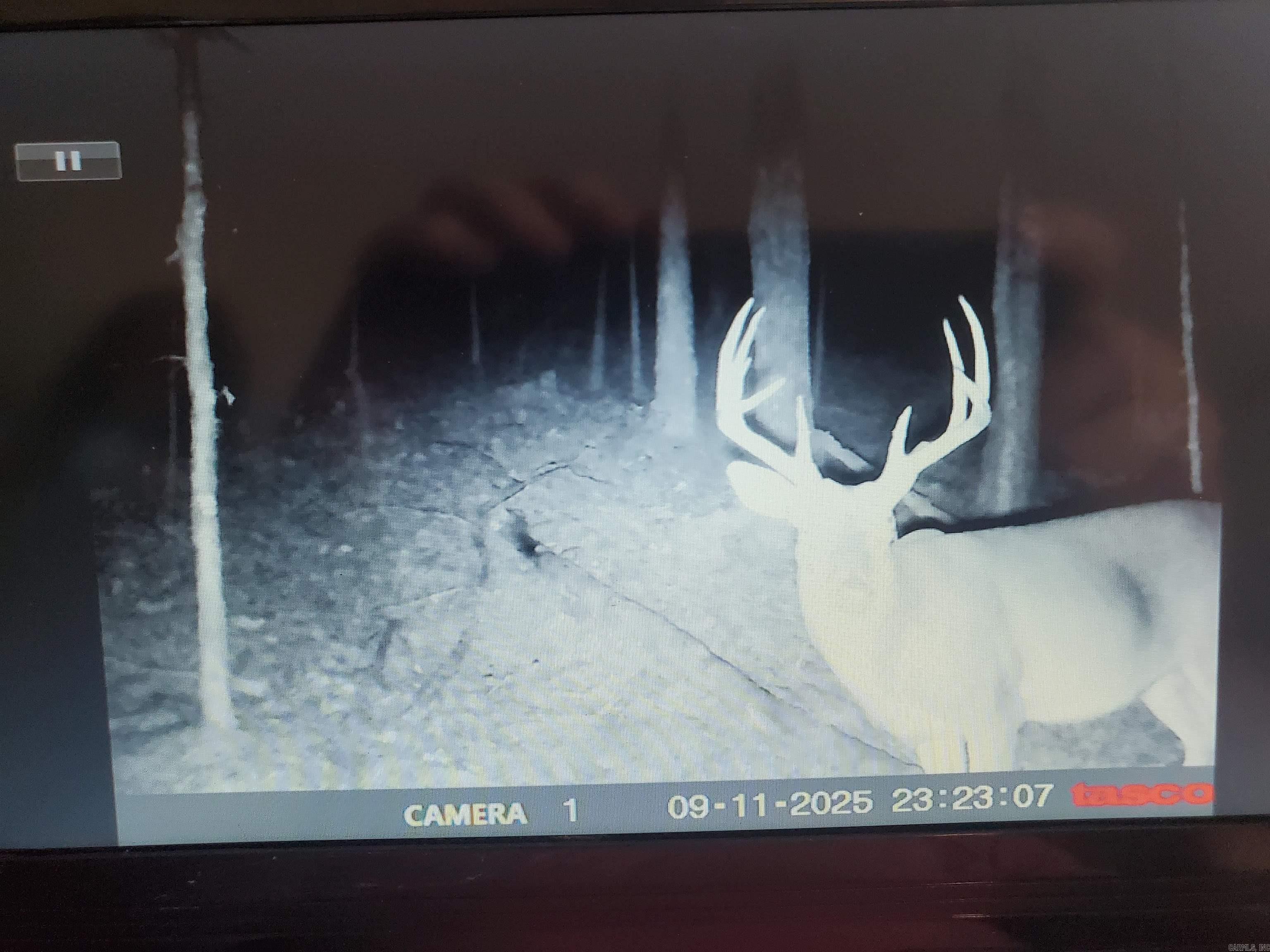 TBD Polk Road 62  Mena, AR